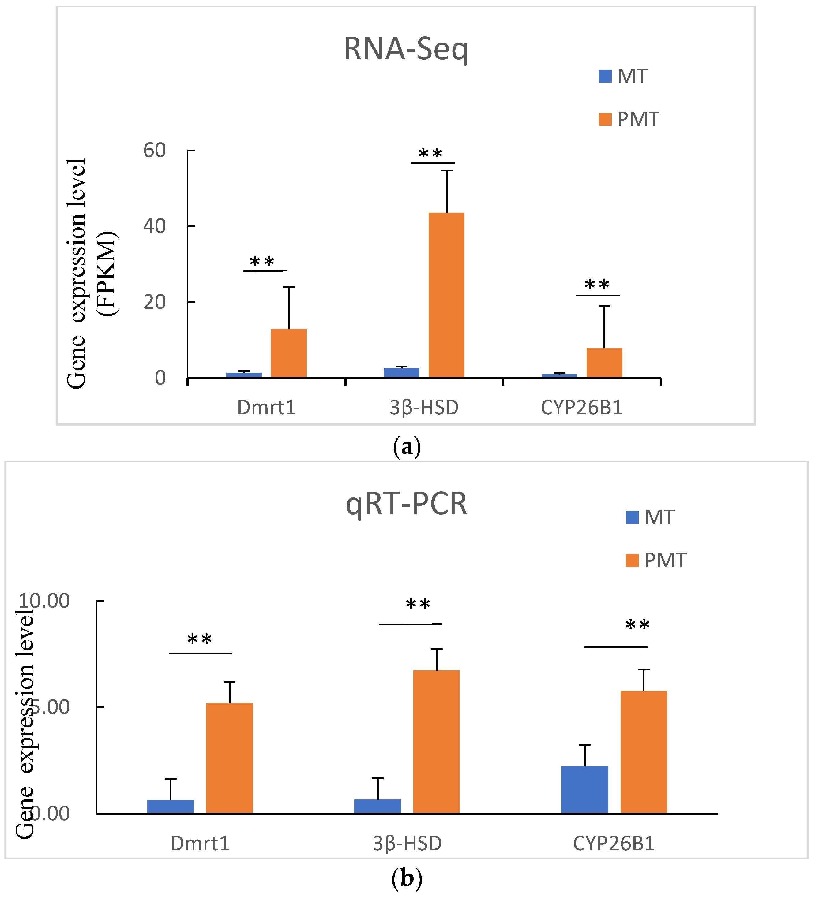 Animals 12 02887 g005