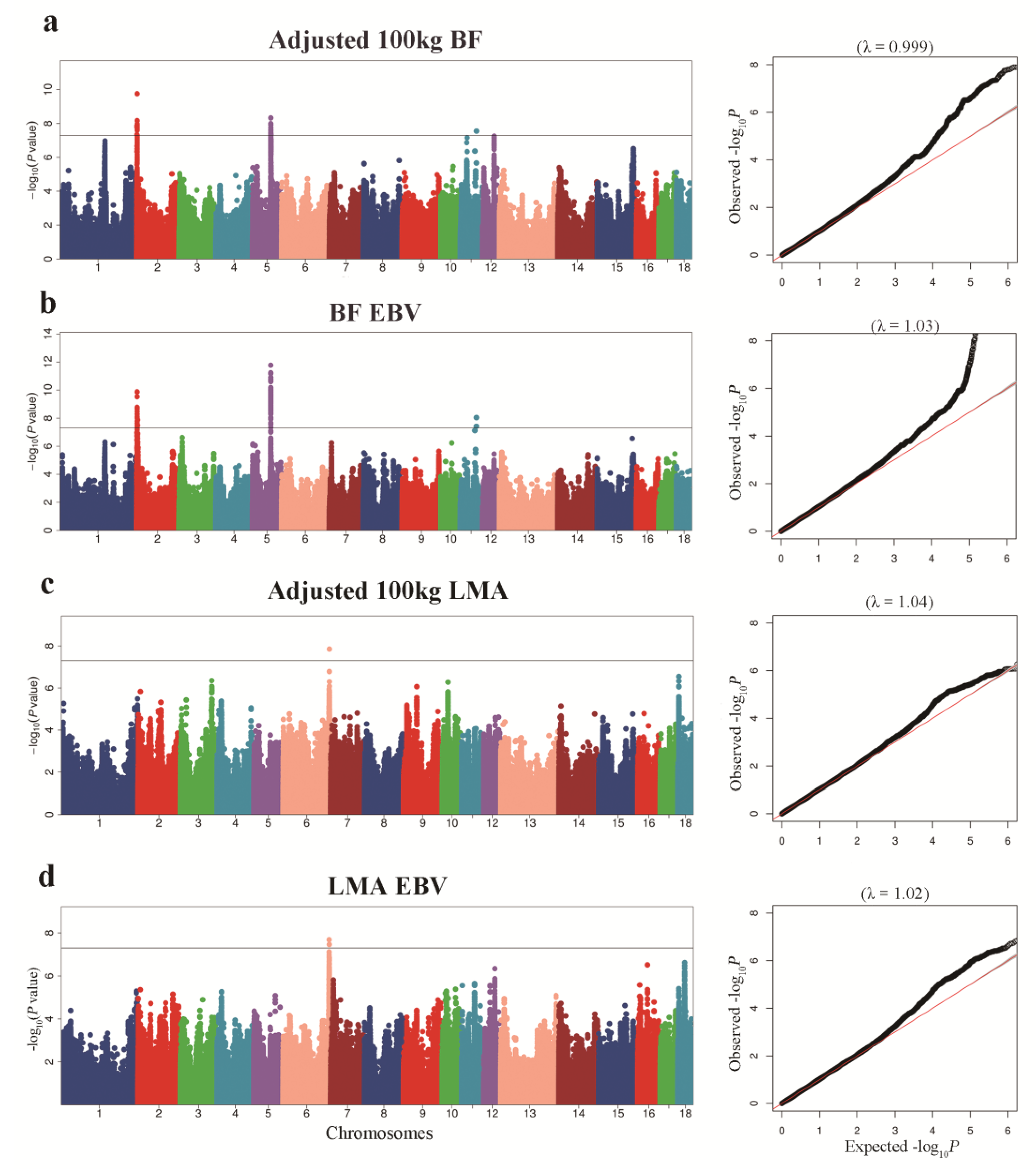 Animals 12 02911 g002 Animals 12 02911 g002