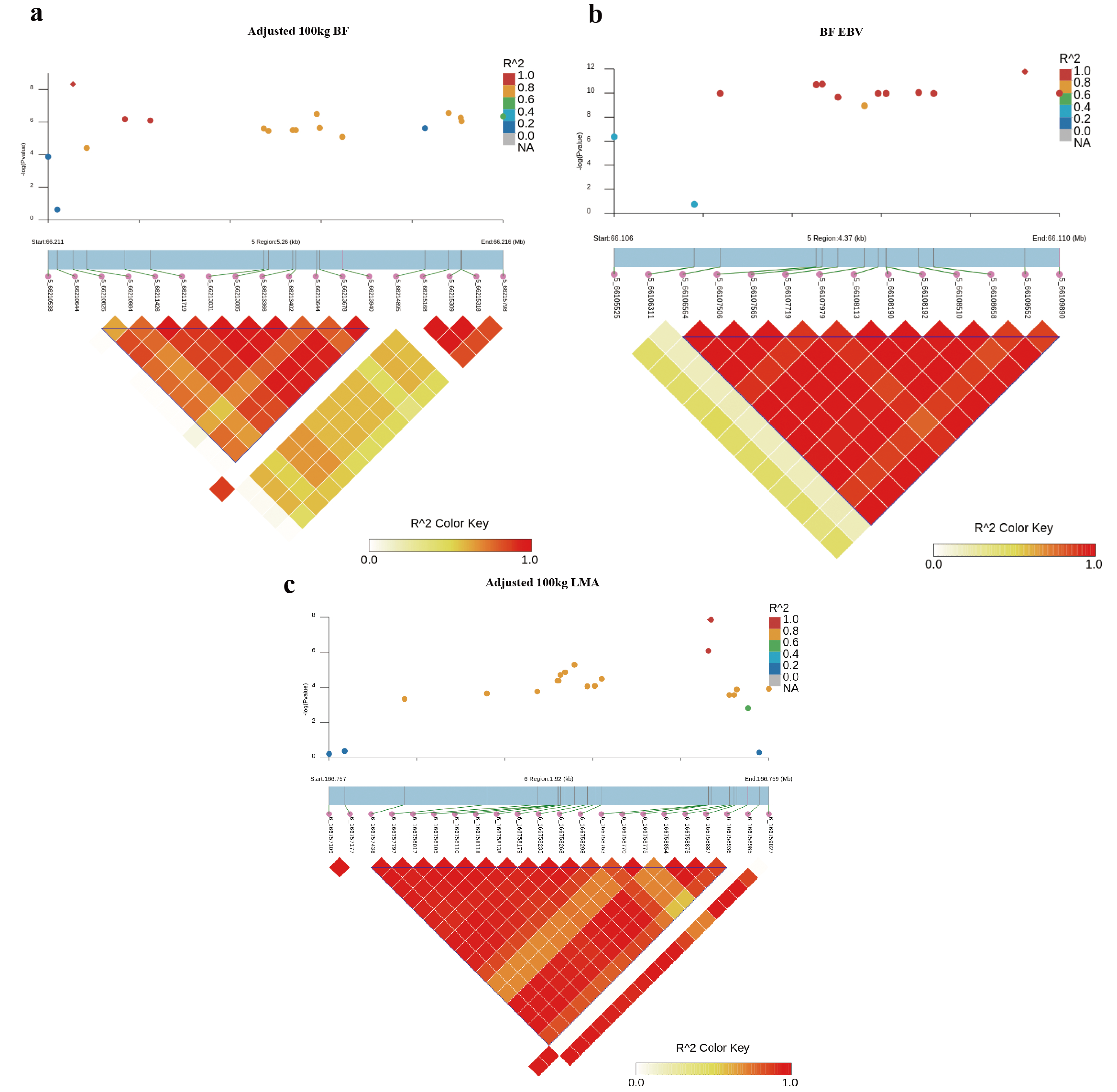 Animals 12 02911 g003 Animals 12 02911 g003