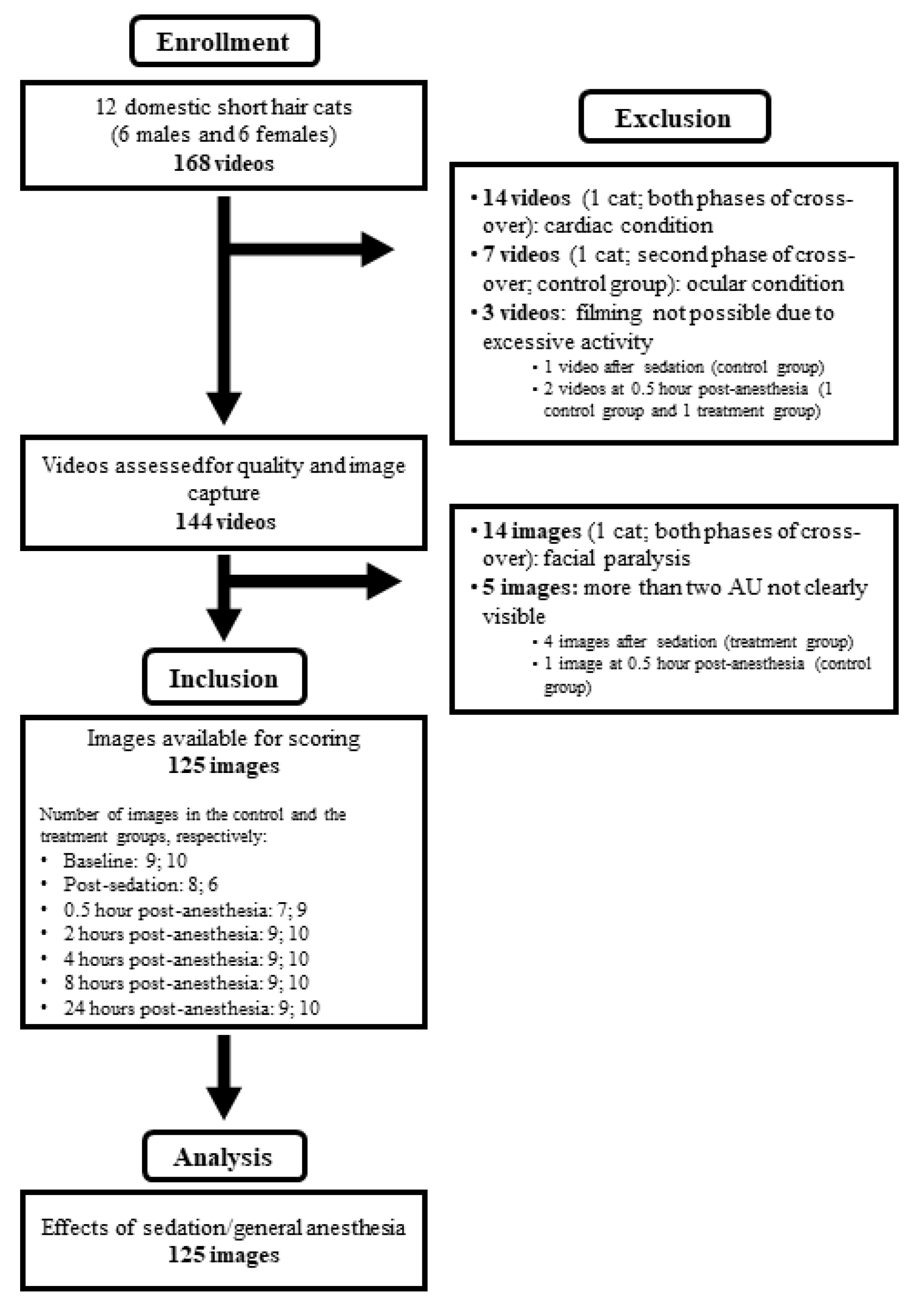 Animals 12 02914 g002