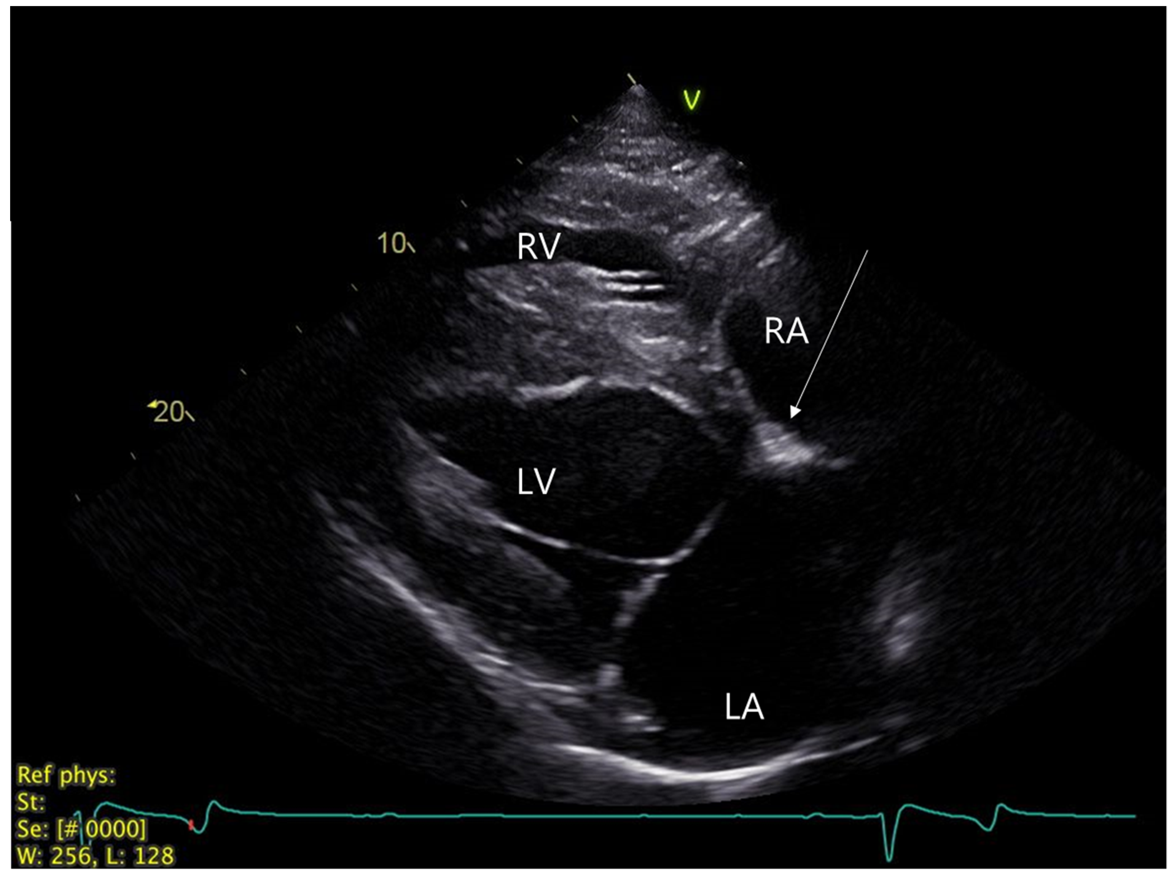 Animals 12 02915 g002 Animals 12 02915 g002