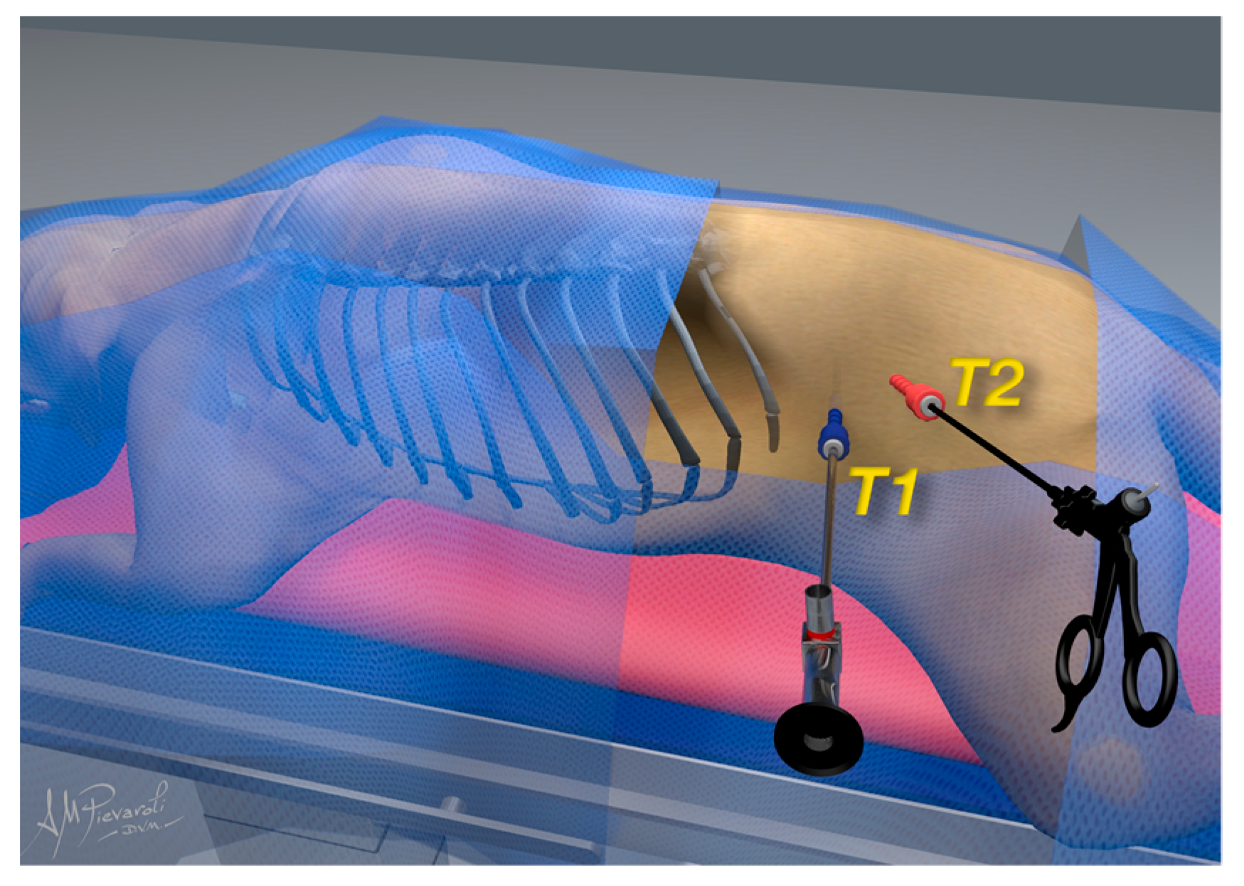 Animals 12 02917 g001