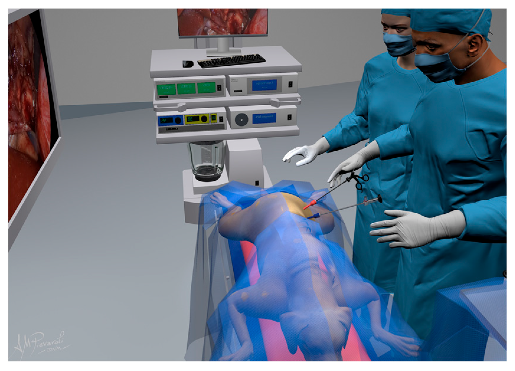 Animals 12 02917 g002