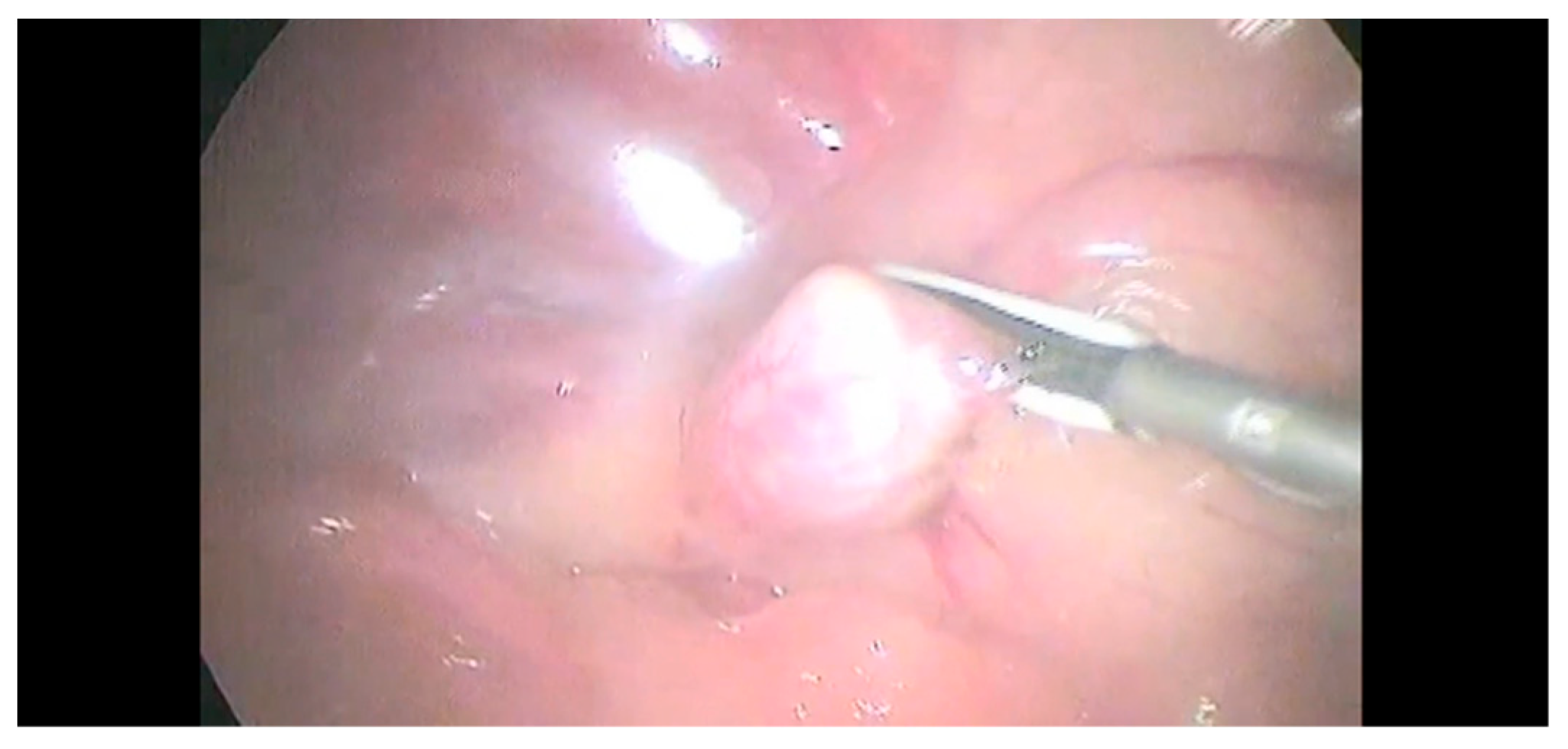 Animals 12 02917 g003