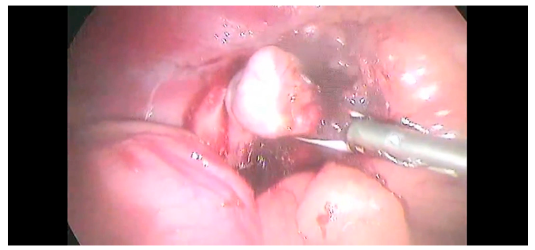 Animals 12 02917 g004