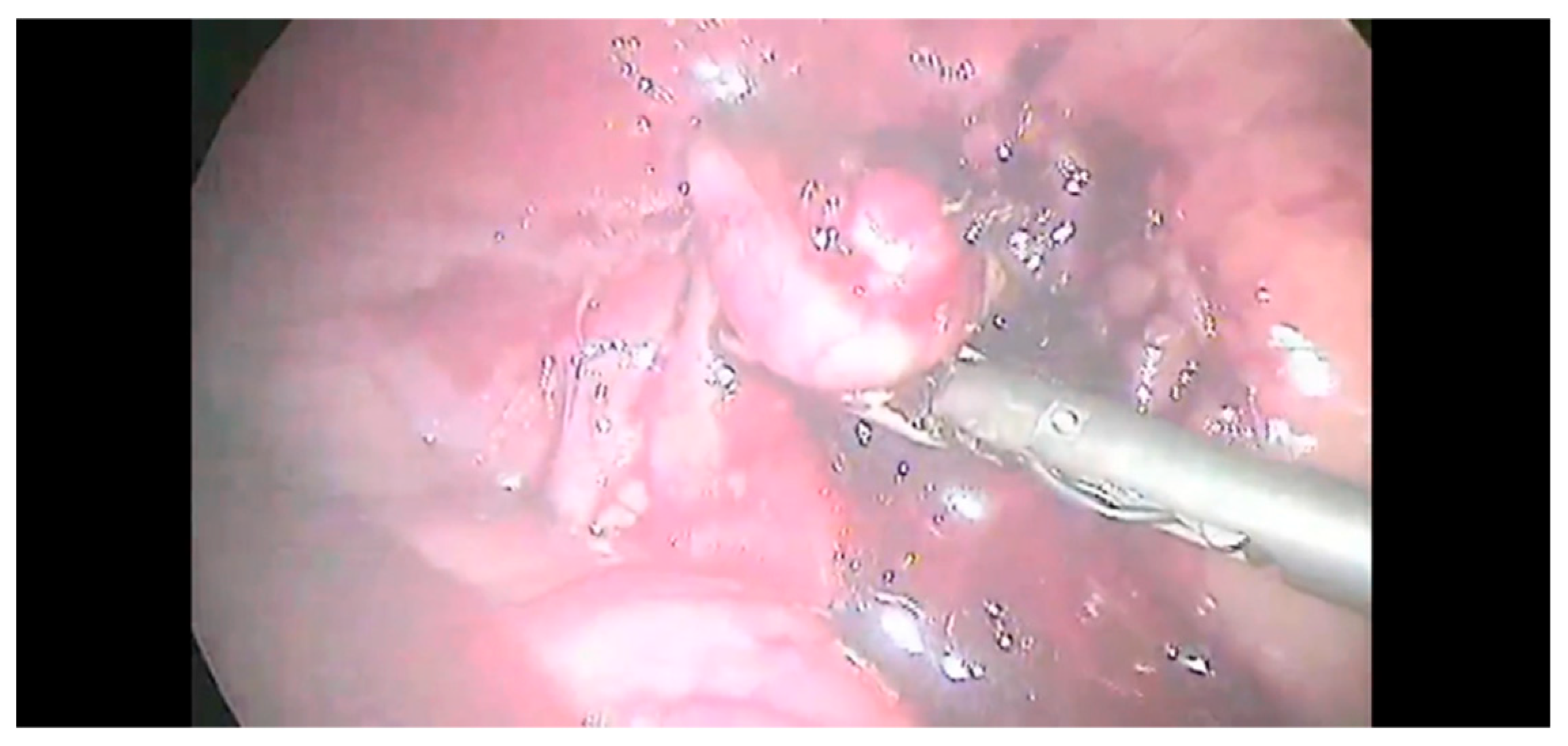 Animals 12 02917 g005