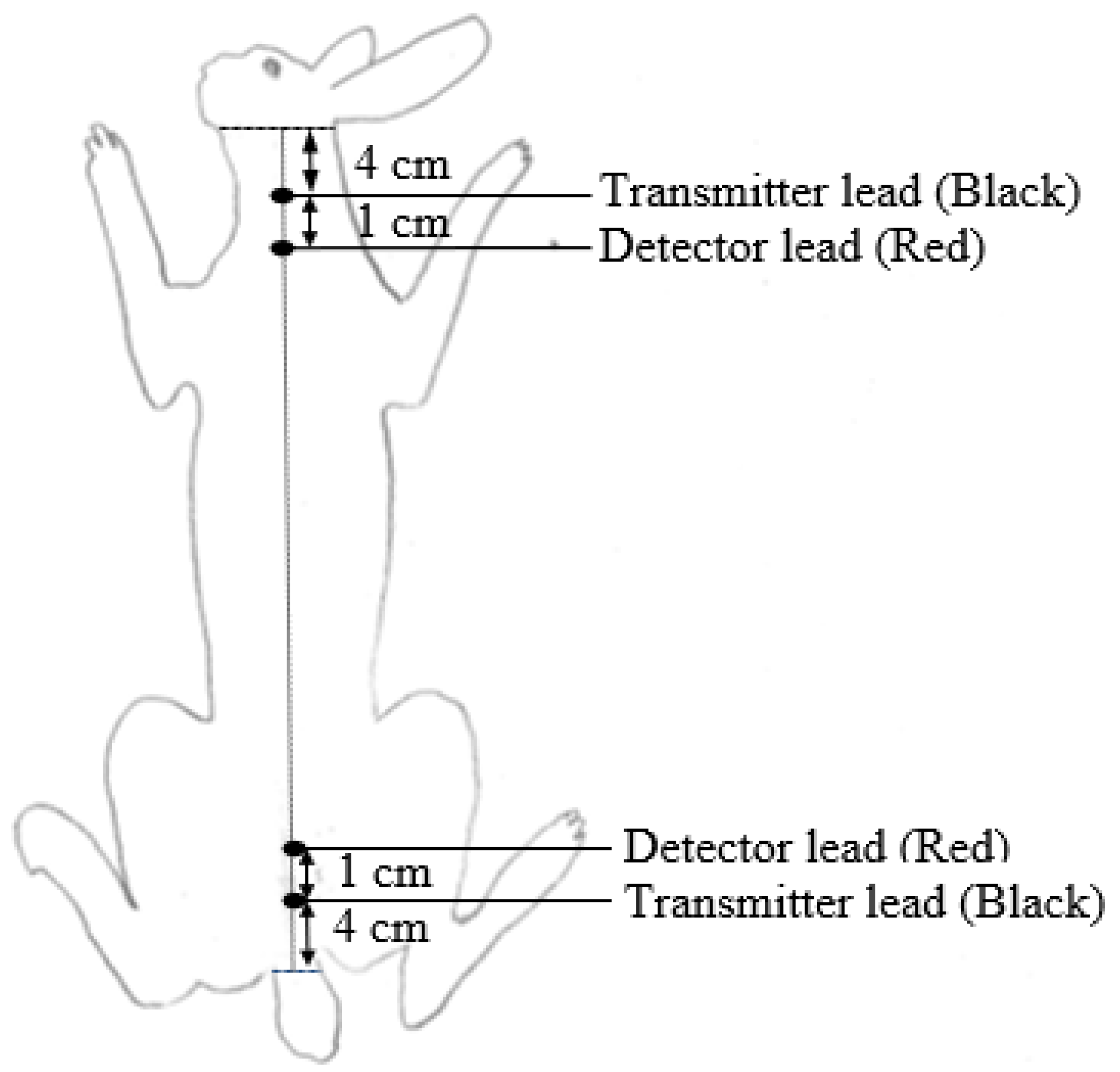 Animals 12 02926 g001