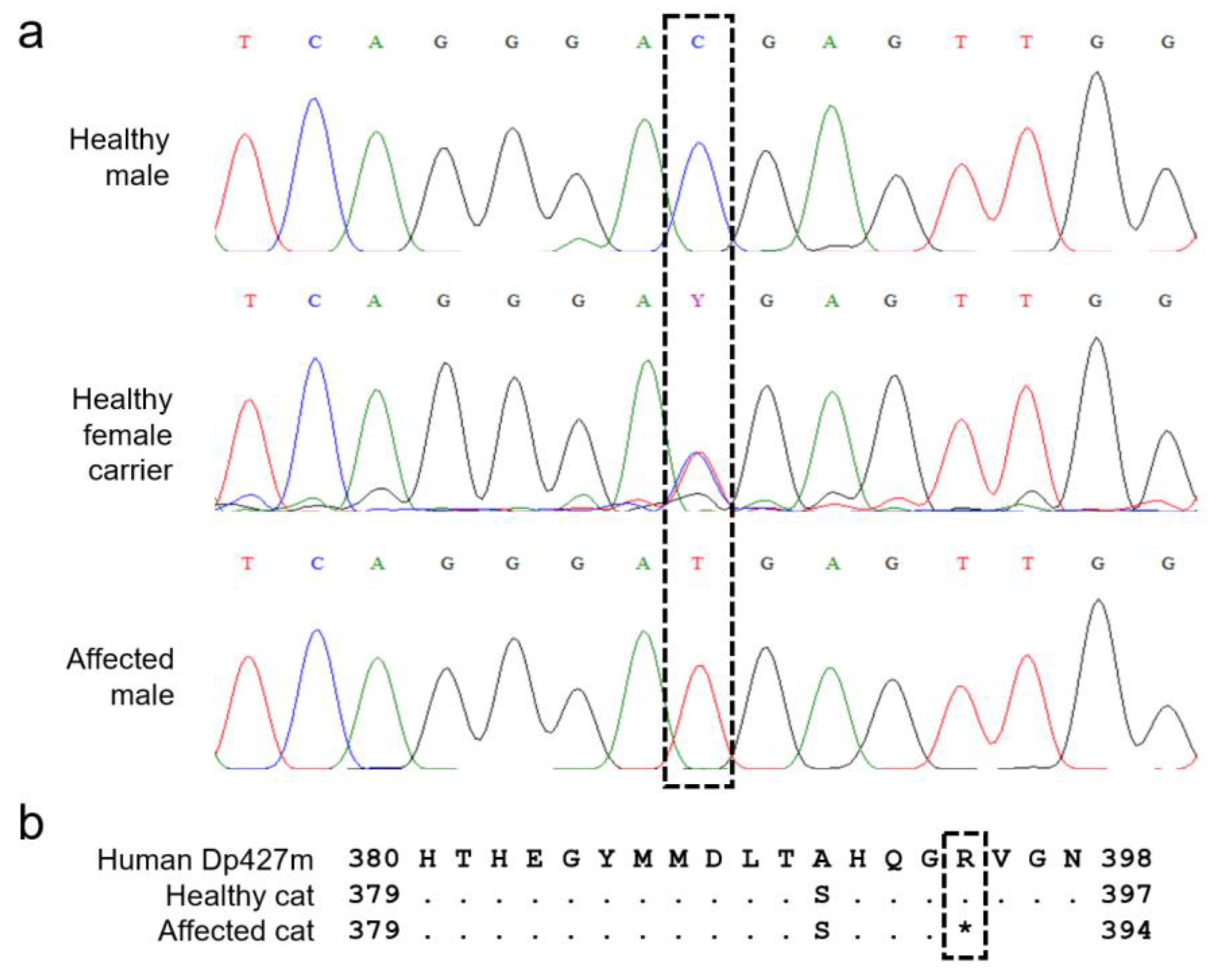 Animals 12 02928 g003 Animals 12 02928 g003