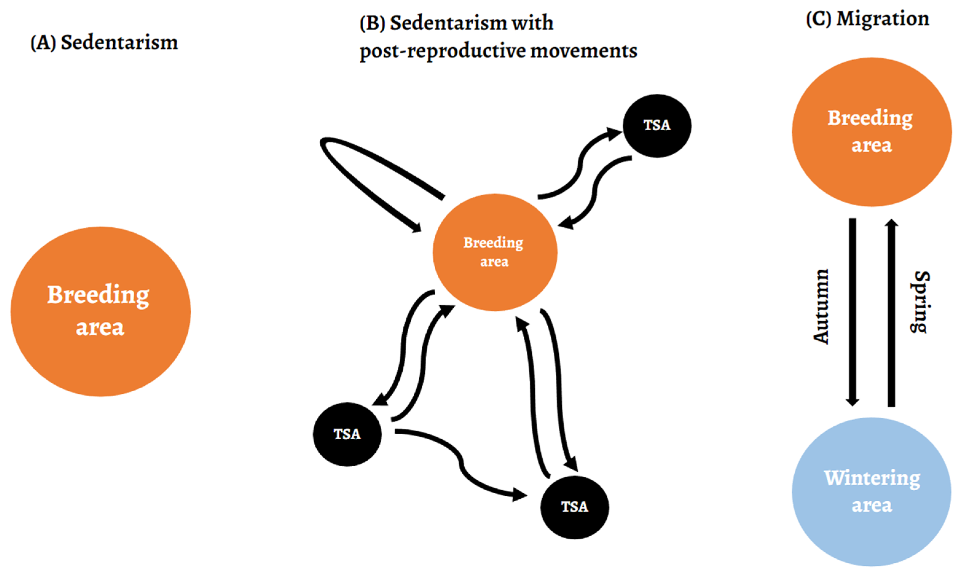 Animals Free FullText Striking Variability in the Post