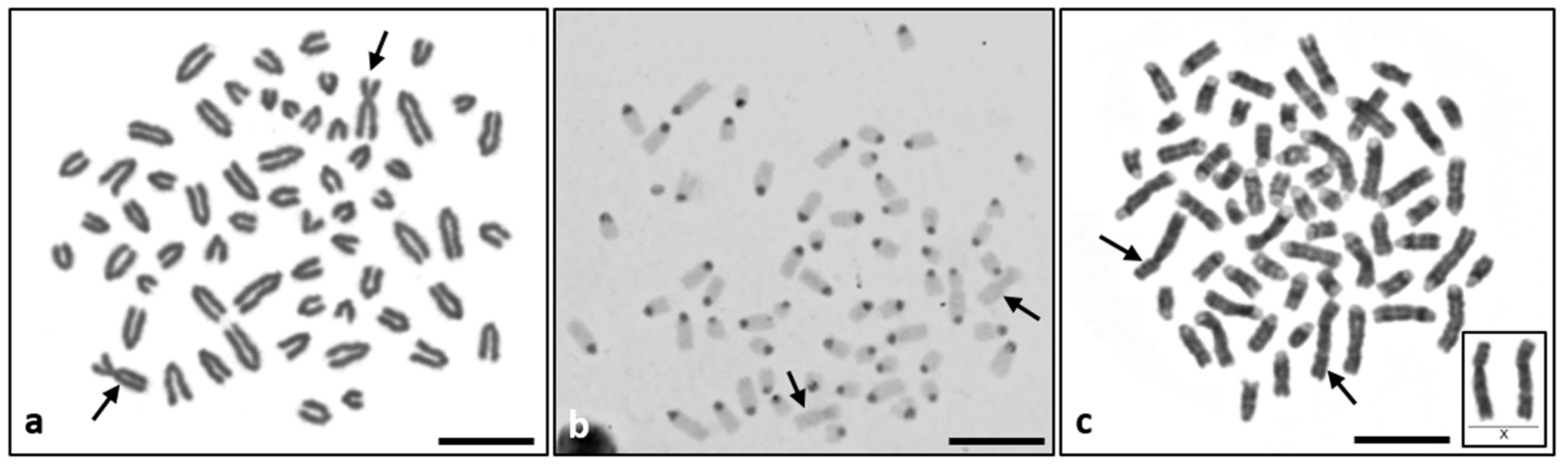 Animals 12 02932 g002 Animals 12 02932 g002