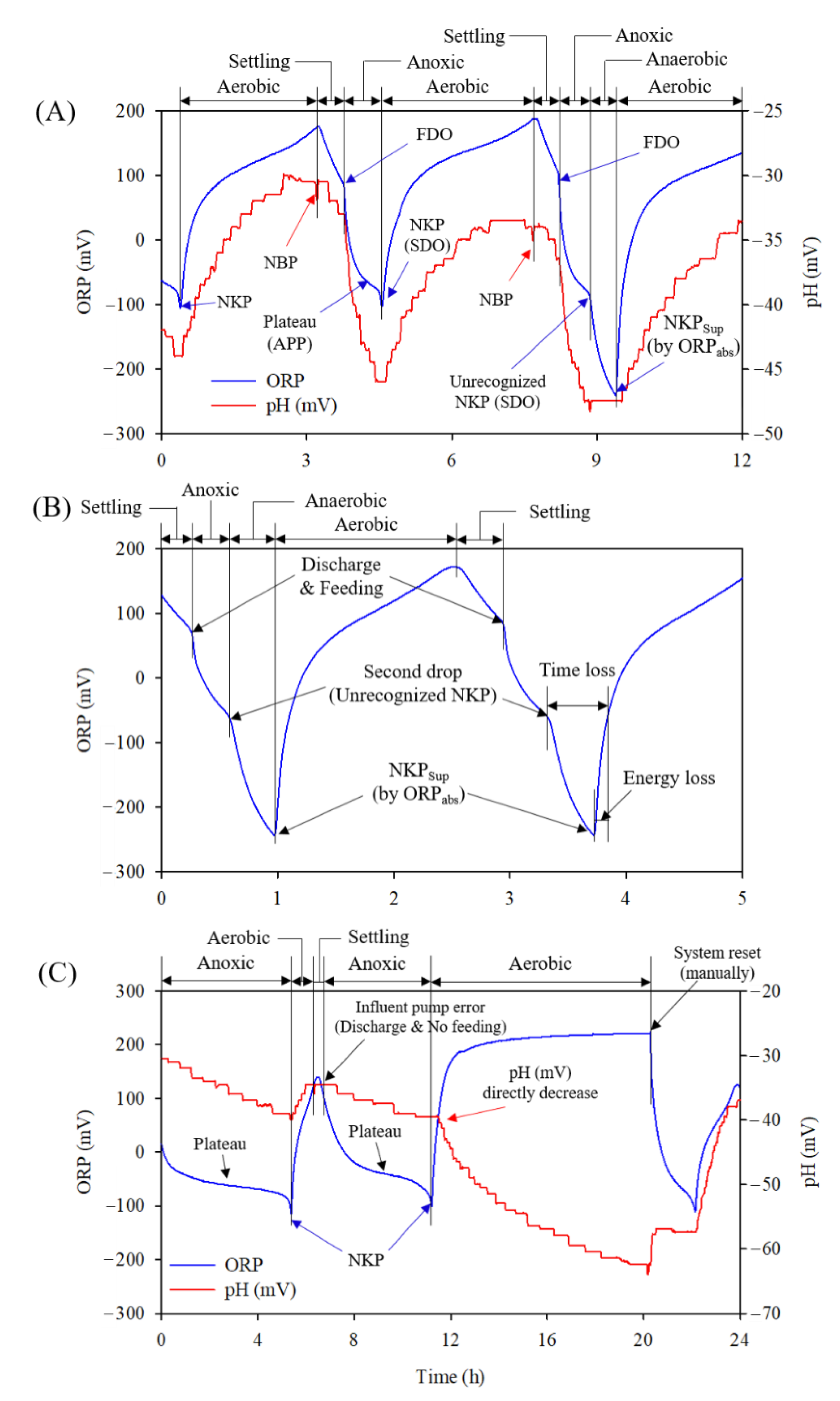 Animals 12 02941 g006