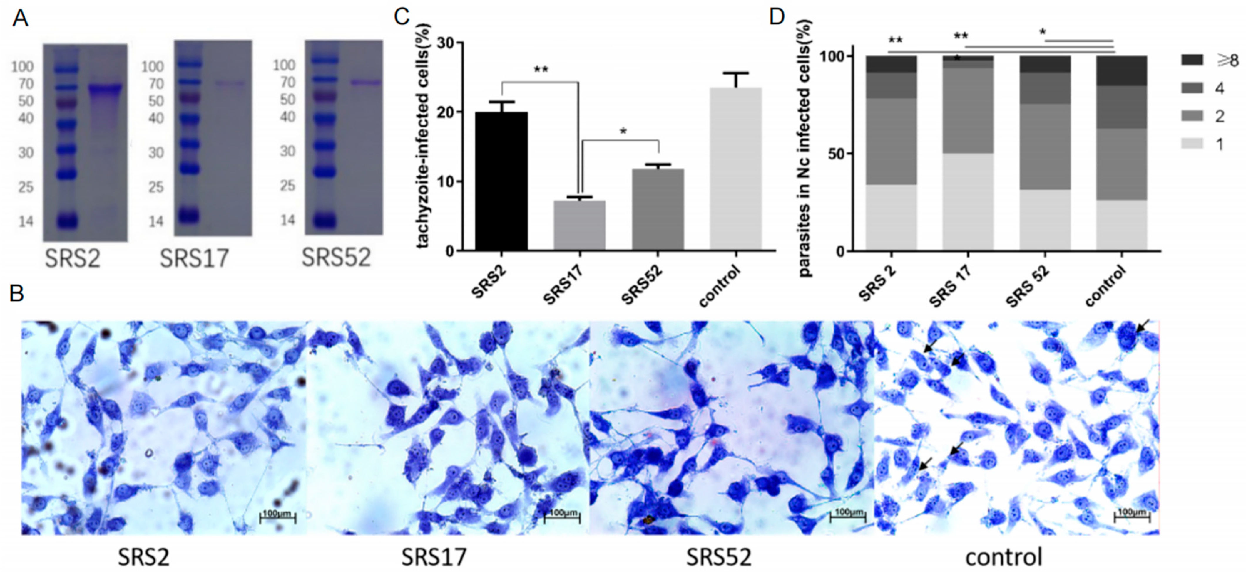 Animals 12 02952 g001 Animals 12 02952 g001