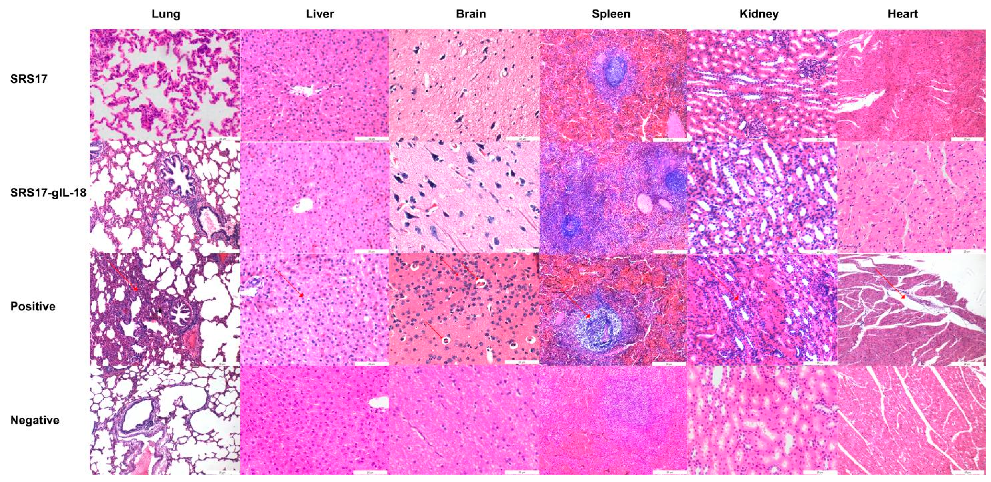 Animals 12 02952 g006 Animals 12 02952 g006