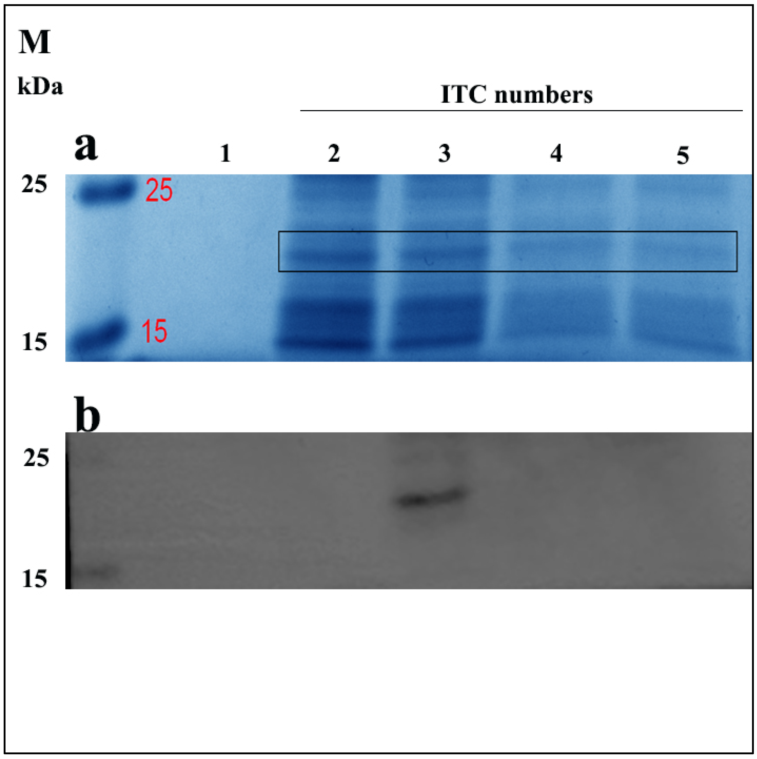 Animals 12 02958 g002 Animals 12 02958 g002