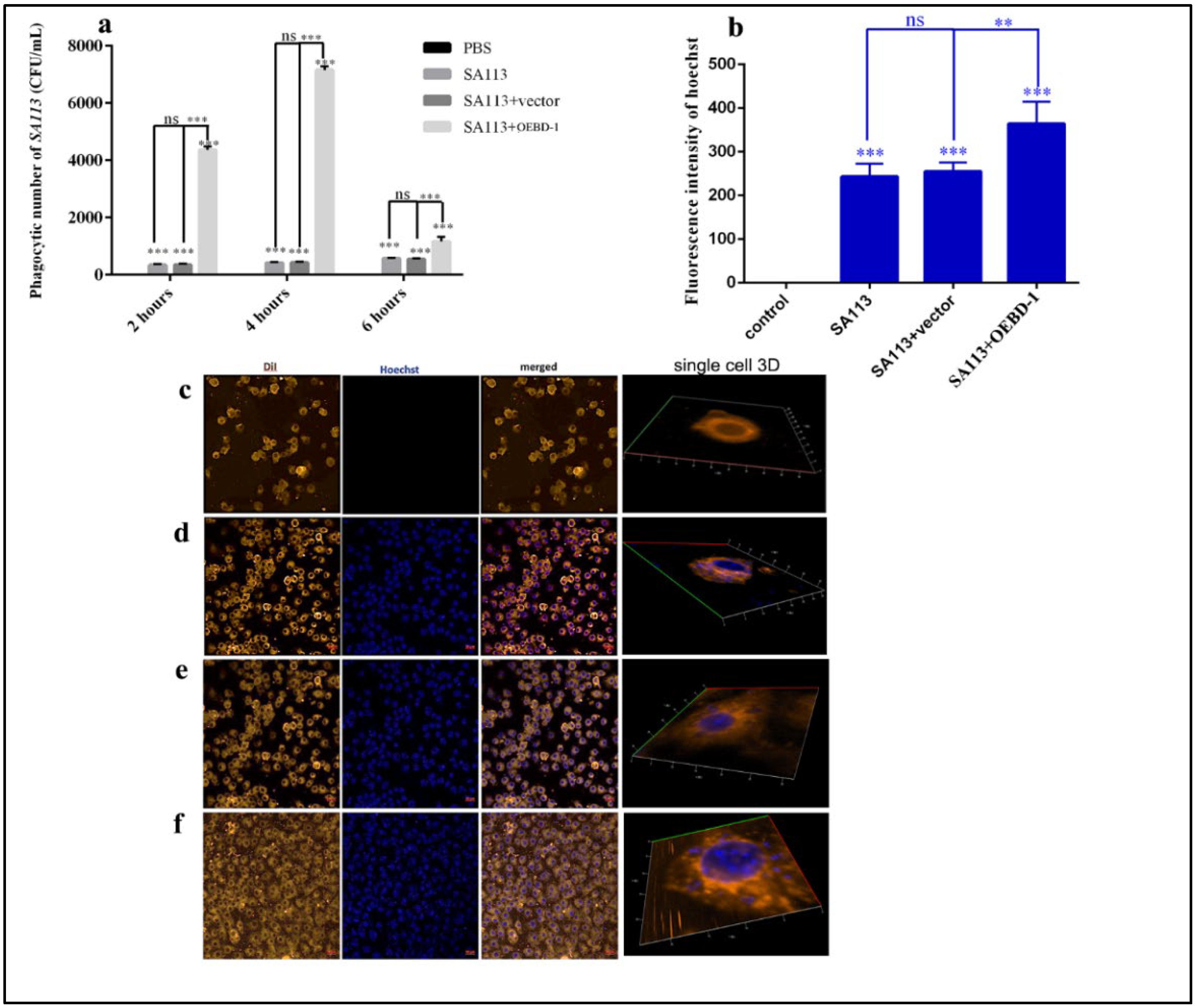 Animals 12 02958 g004 Animals 12 02958 g004