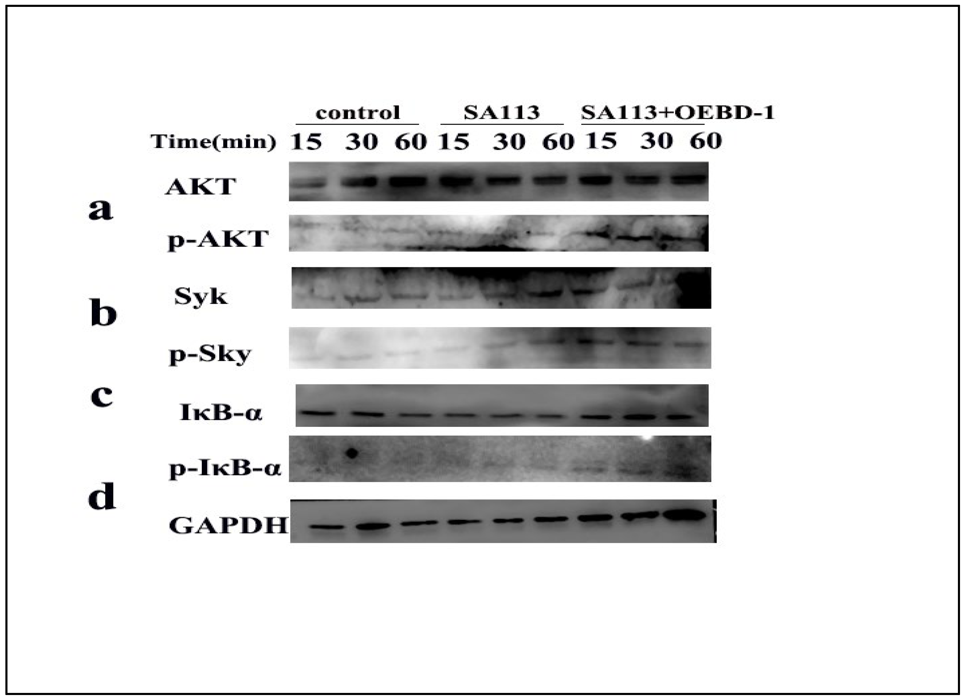 Animals 12 02958 g005 Animals 12 02958 g005