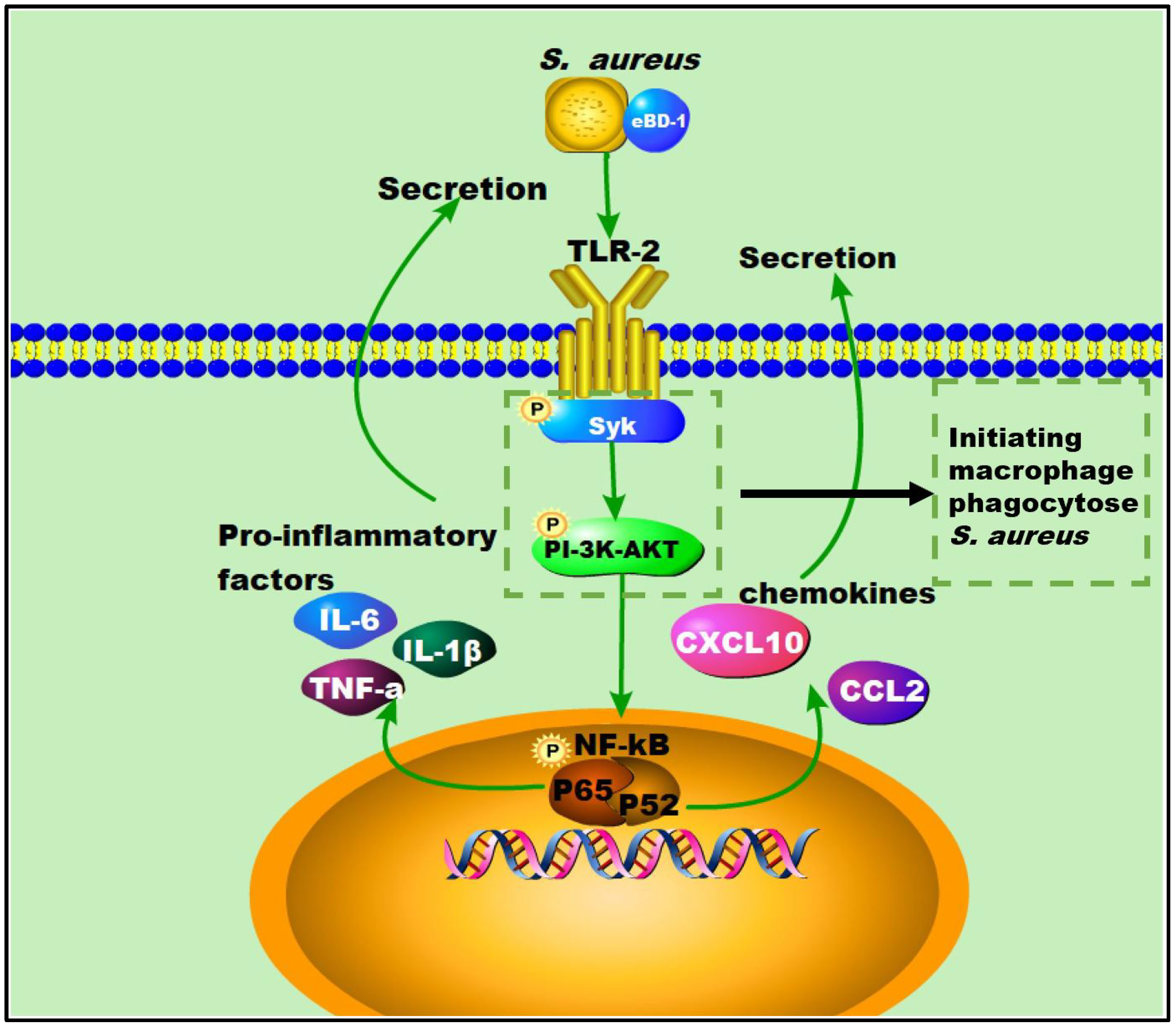 Animals 12 02958 g006 Animals 12 02958 g006