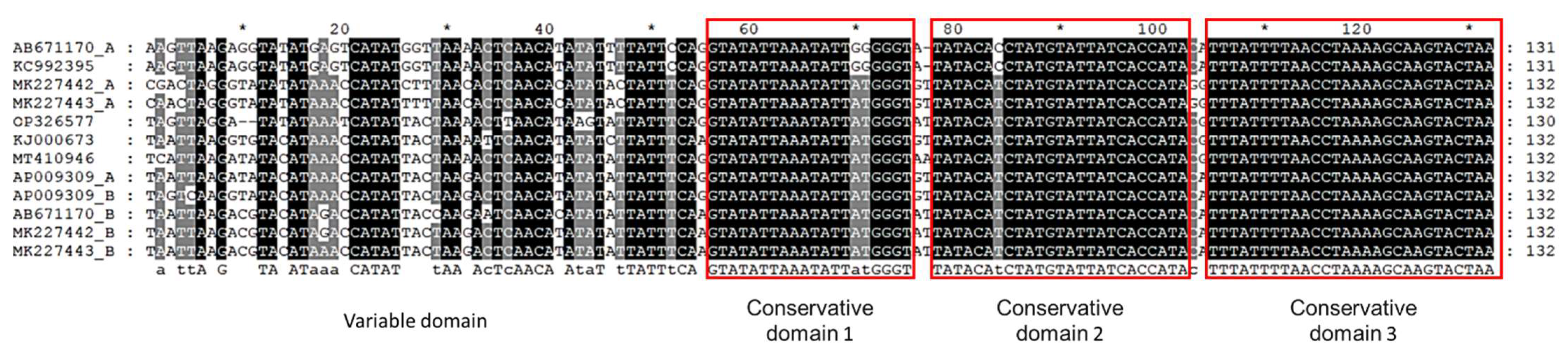 Animals 12 02960 g002