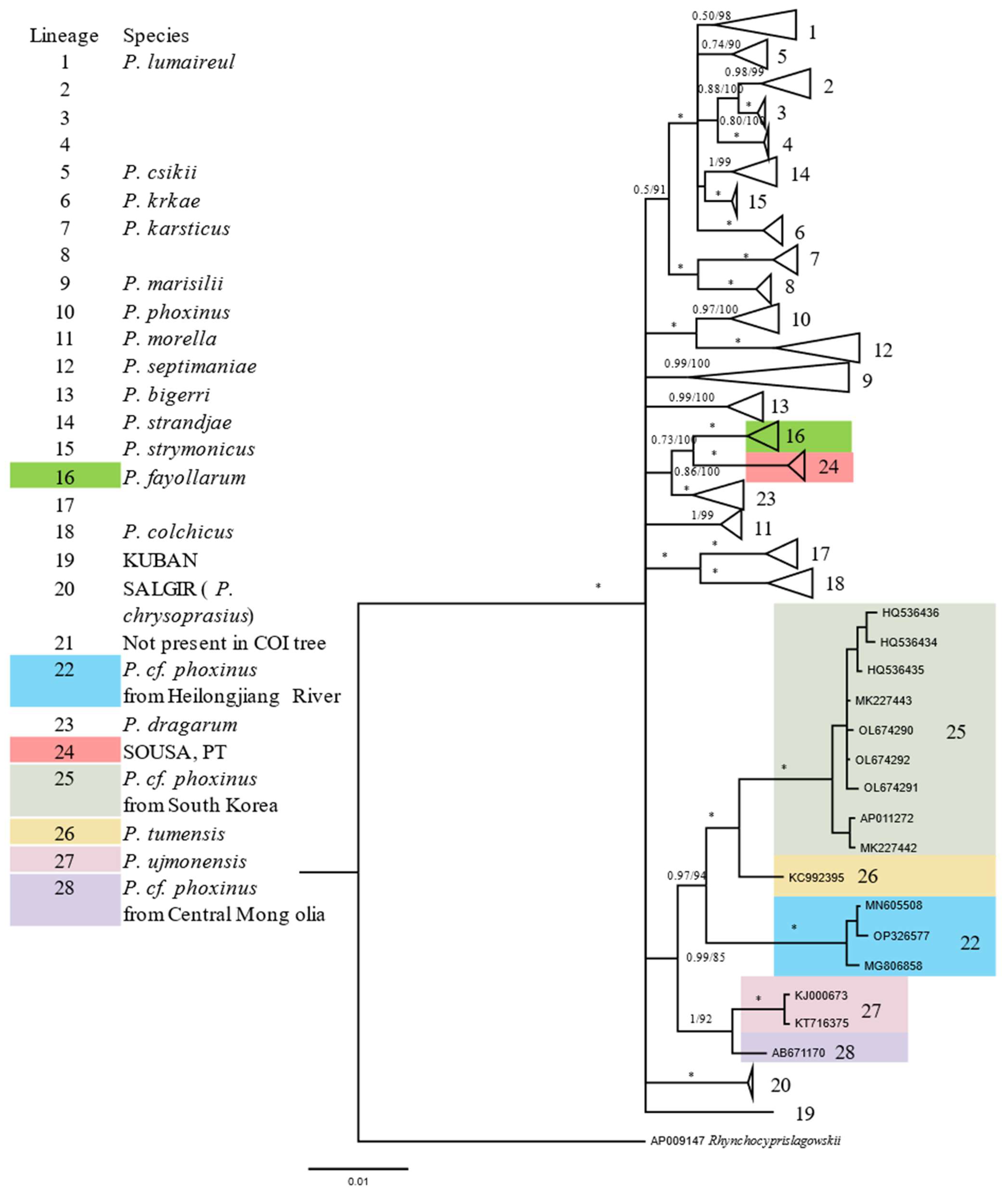 Animals 12 02960 g004