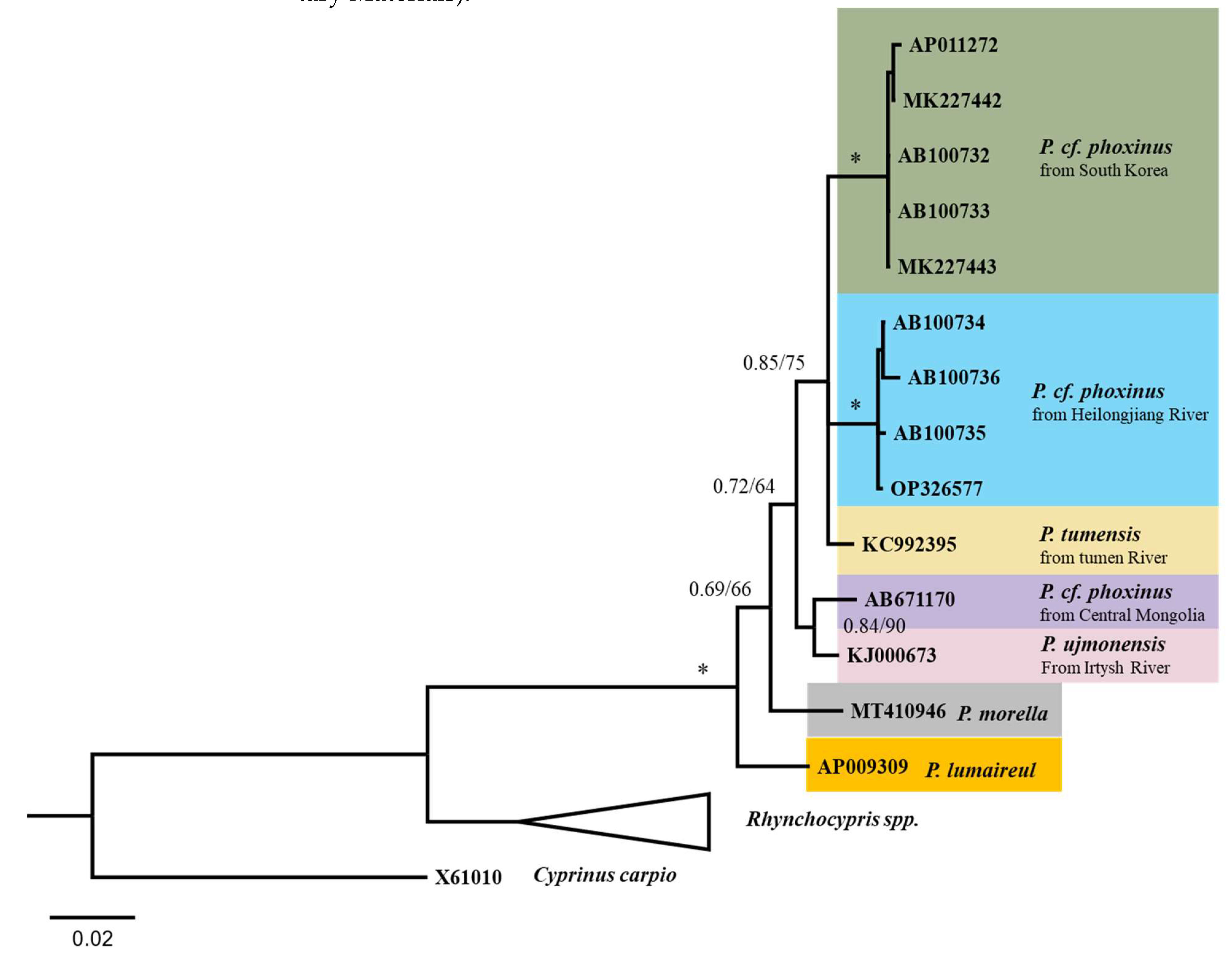 Animals 12 02960 g005