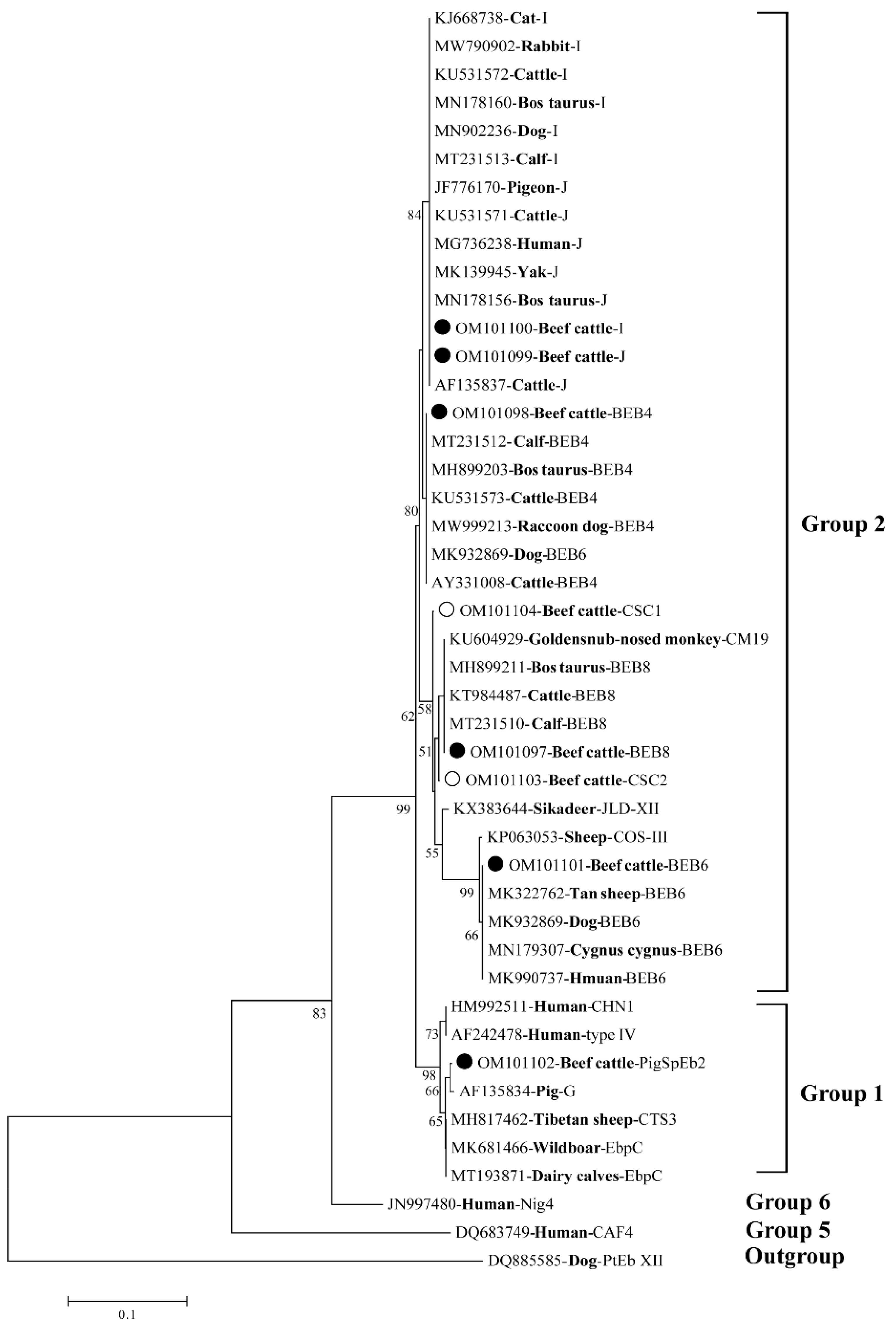 Animals 12 02961 g002 Animals 12 02961 g002