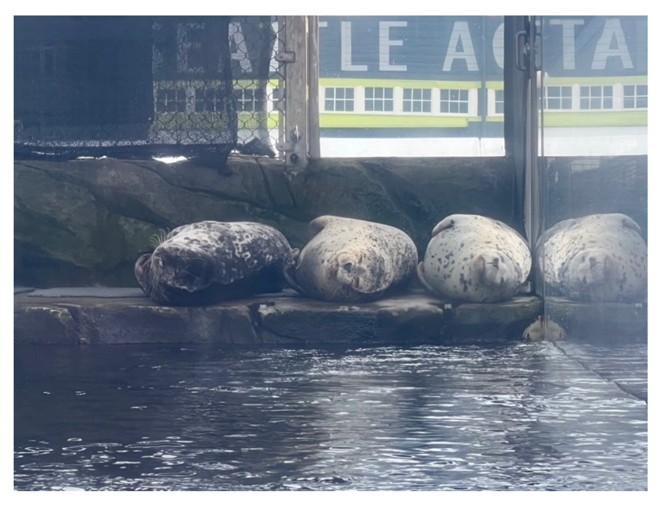 Animals 12 02962 g002 Animals 12 02962 g002