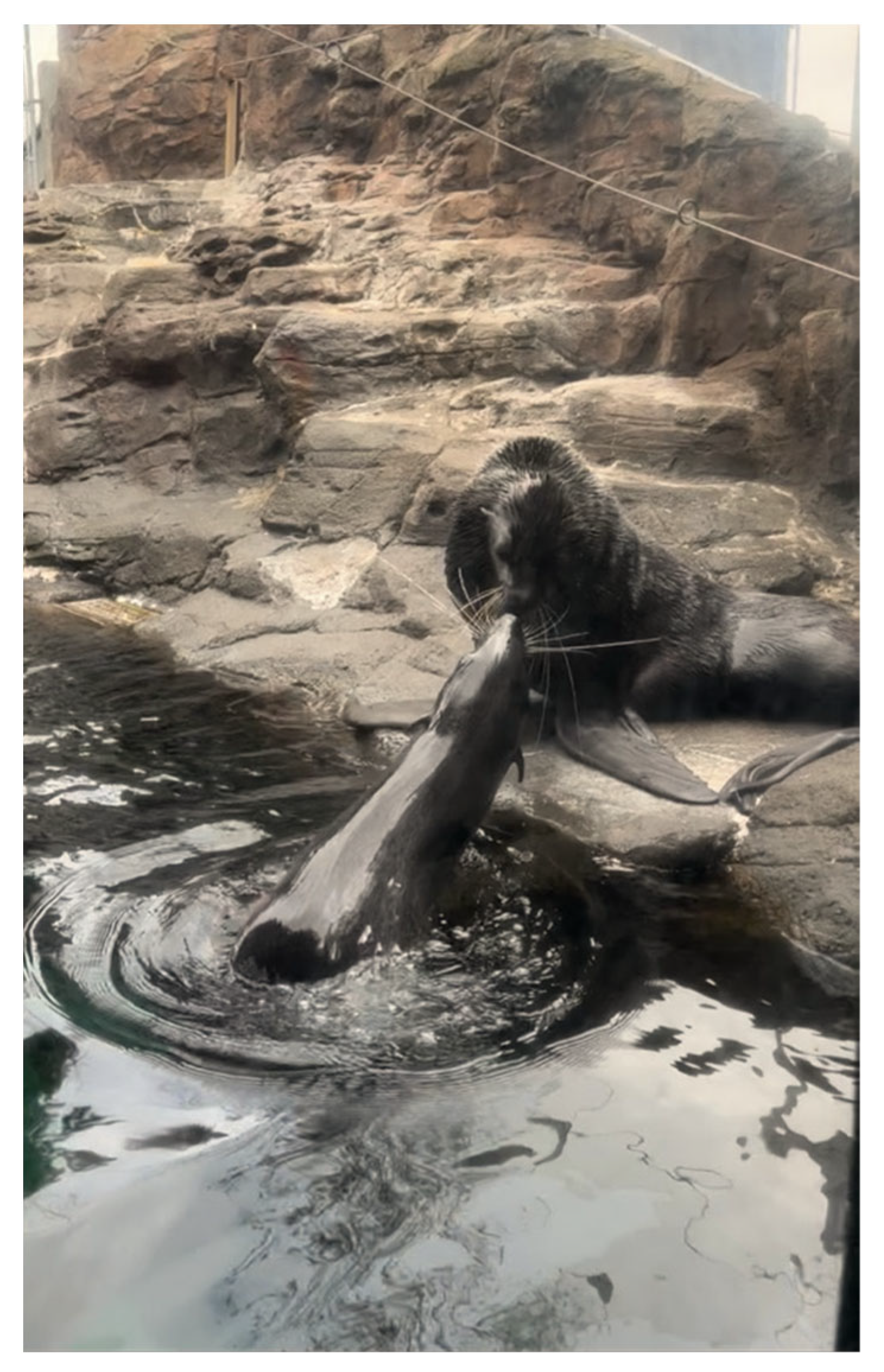 Animals 12 02962 g008 Animals 12 02962 g008