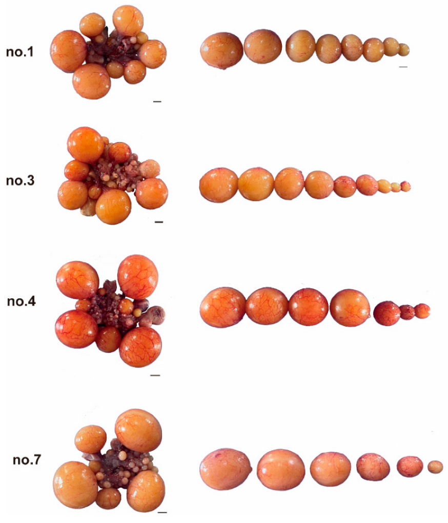 Animals 12 02964 g002 Animals 12 02964 g002