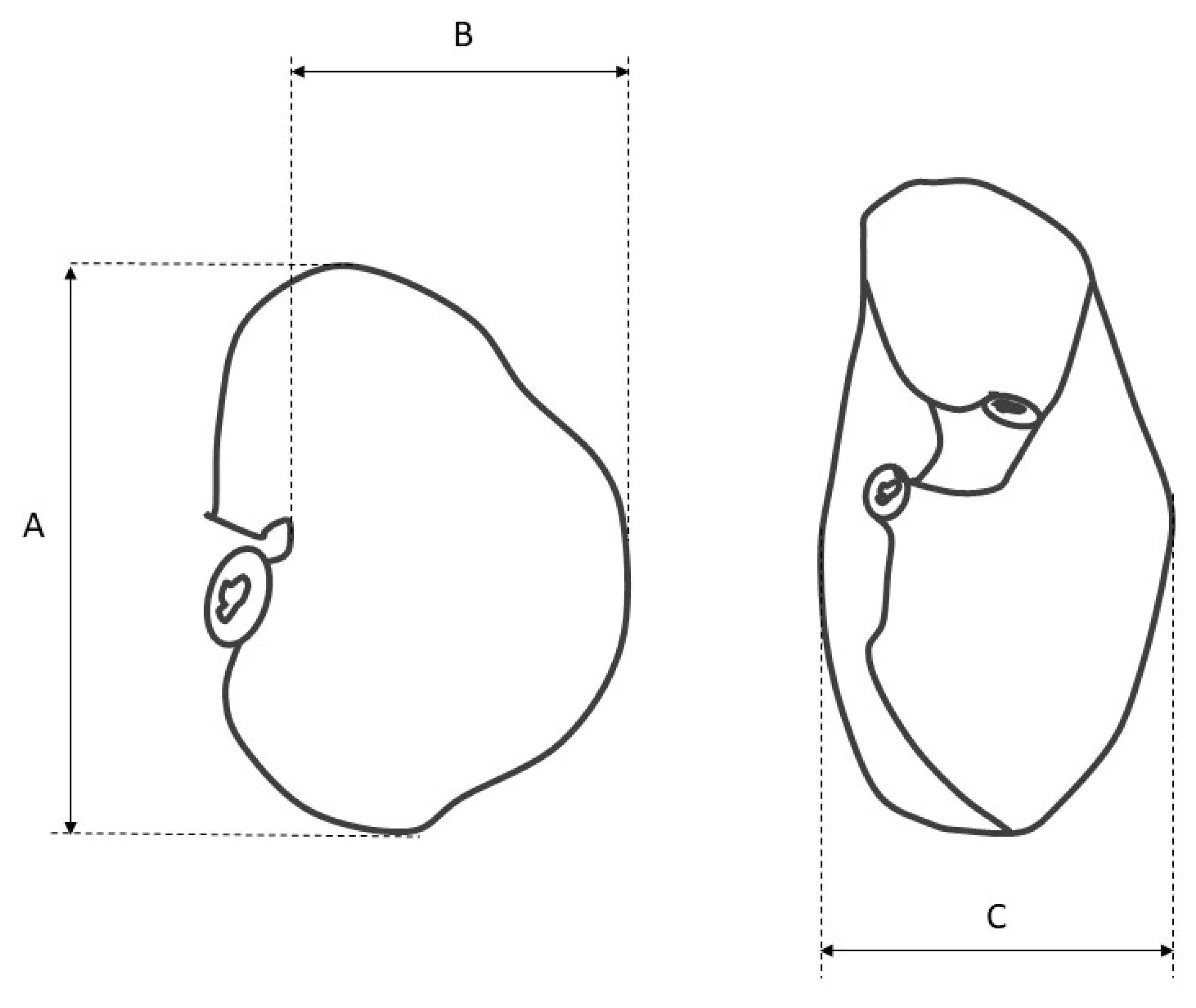 Animals 12 02966 g001 Animals 12 02966 g001