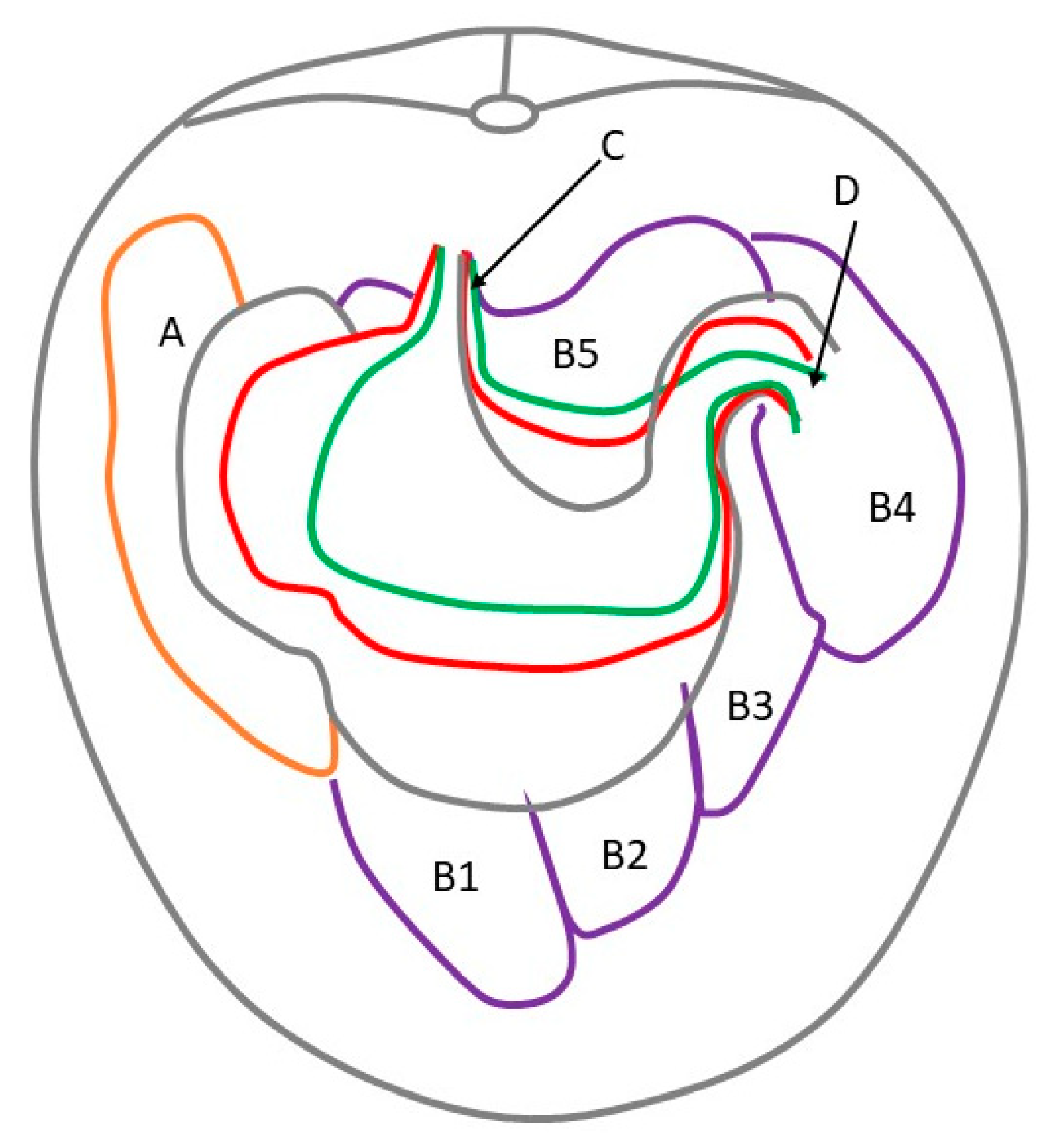 Animals 12 02966 g003 Animals 12 02966 g003