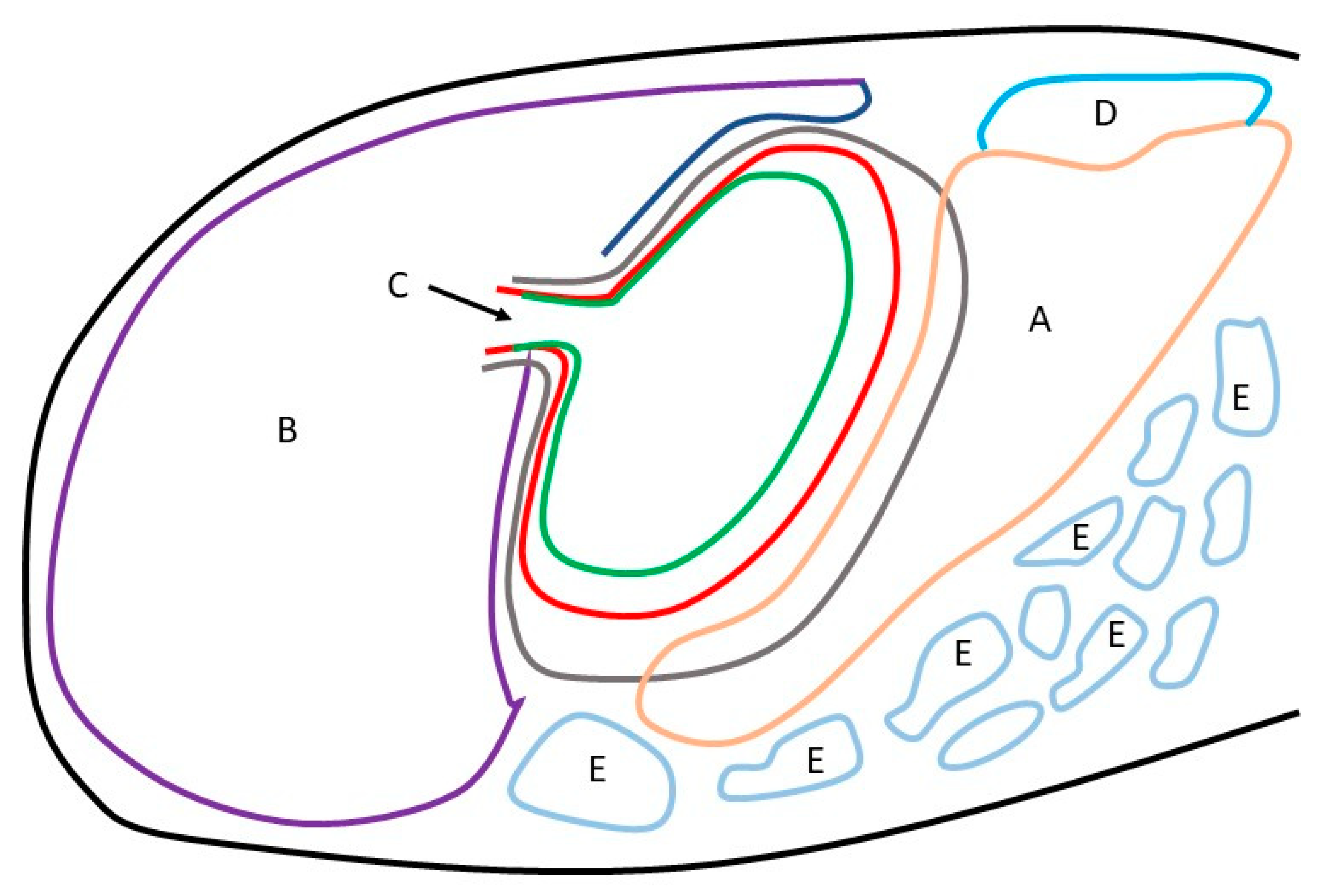 Animals 12 02966 g004 Animals 12 02966 g004