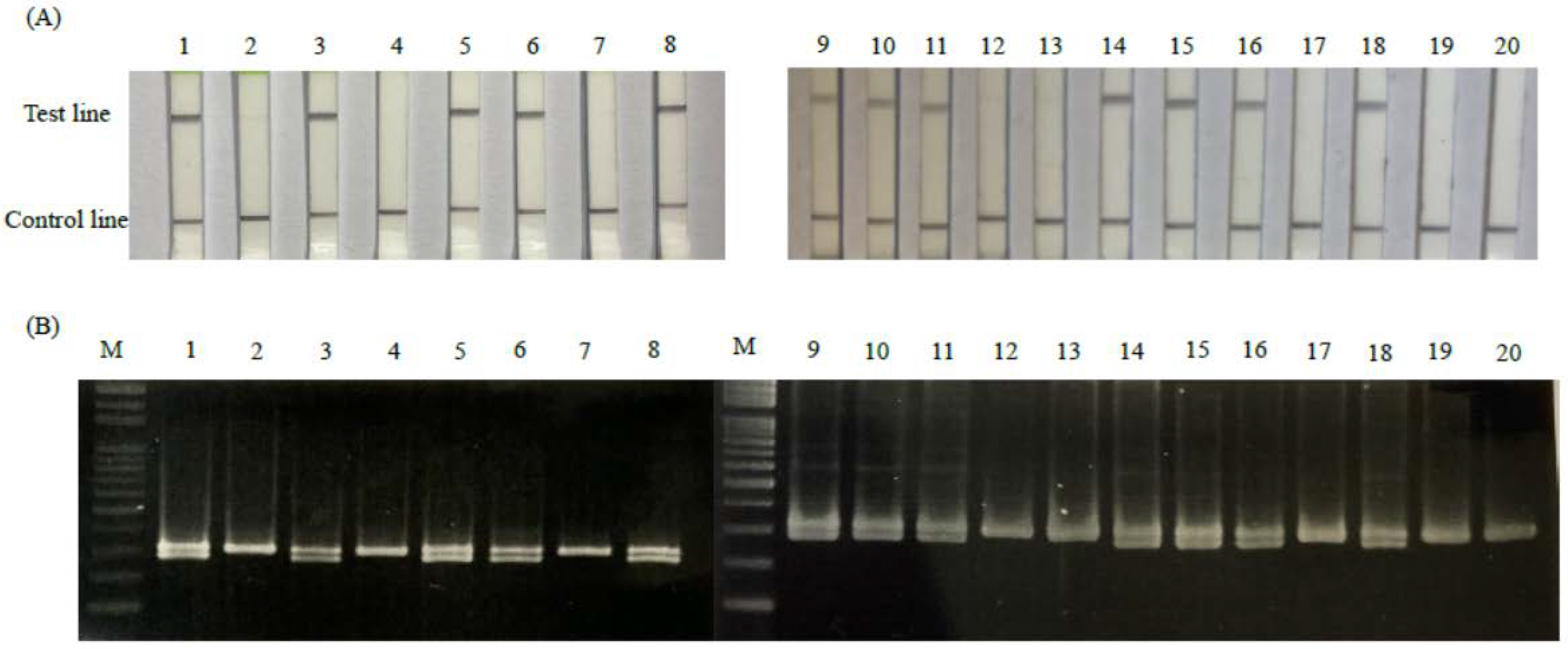 Animals 12 02969 g005 Animals 12 02969 g005