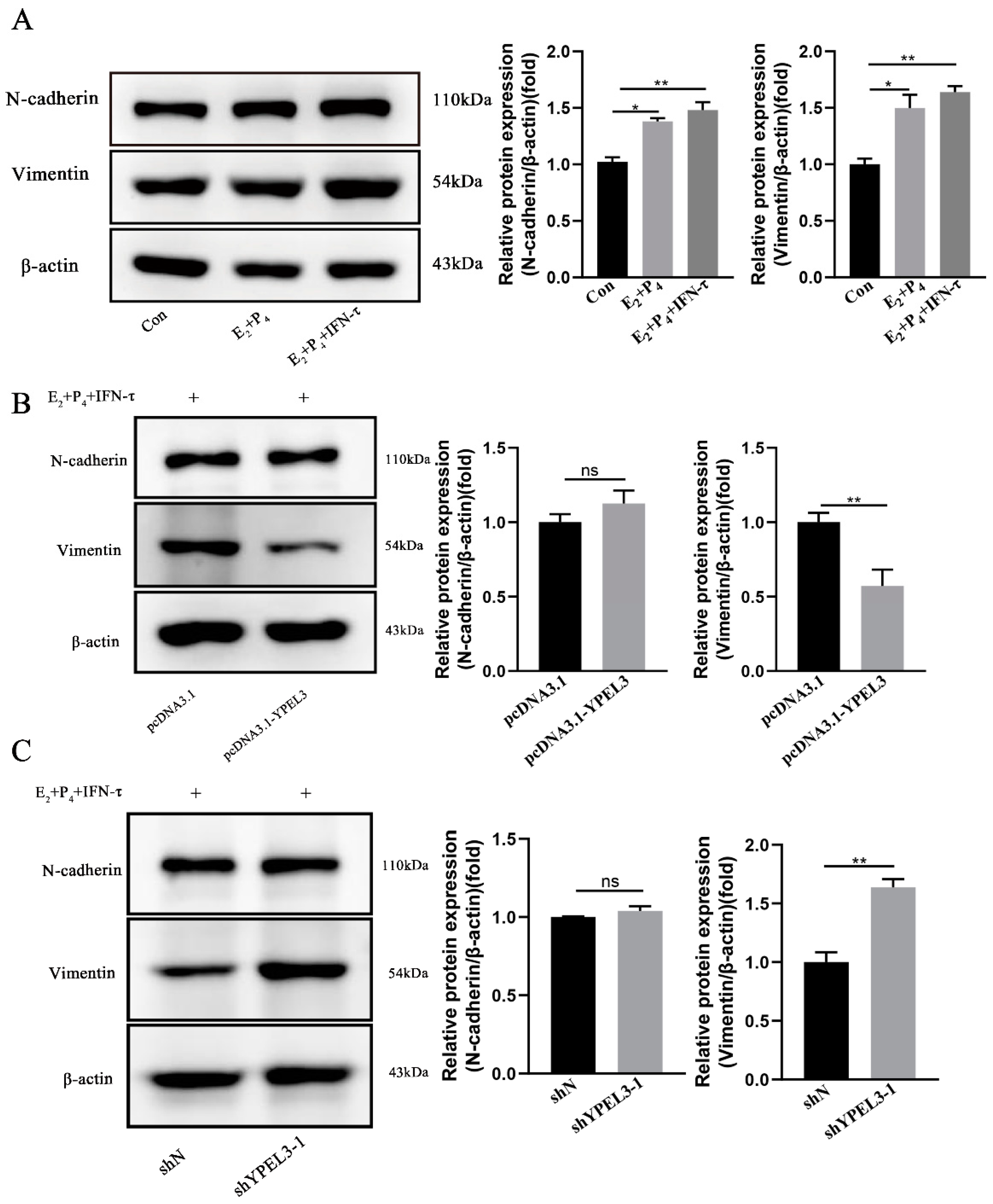 Animals 12 02973 g004