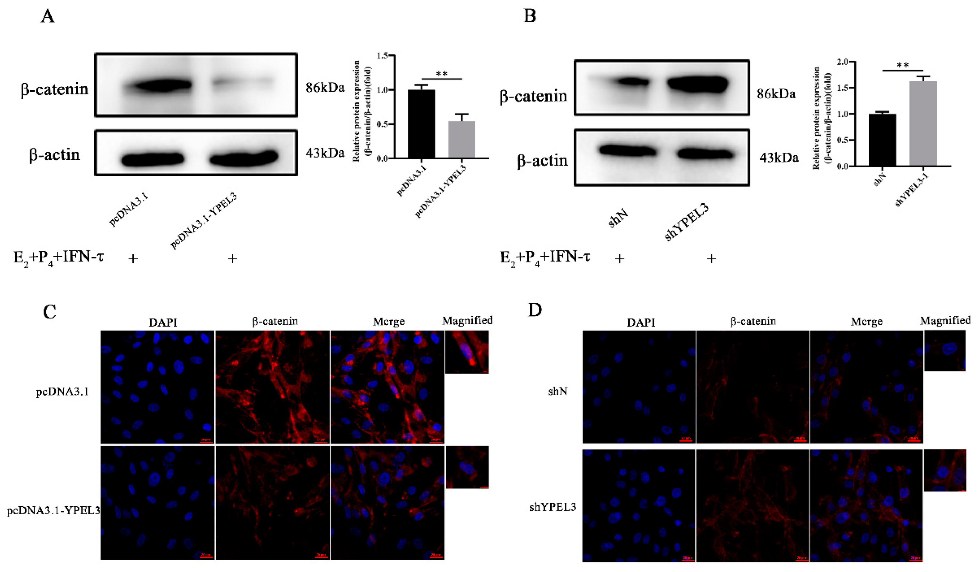 Animals 12 02973 g005