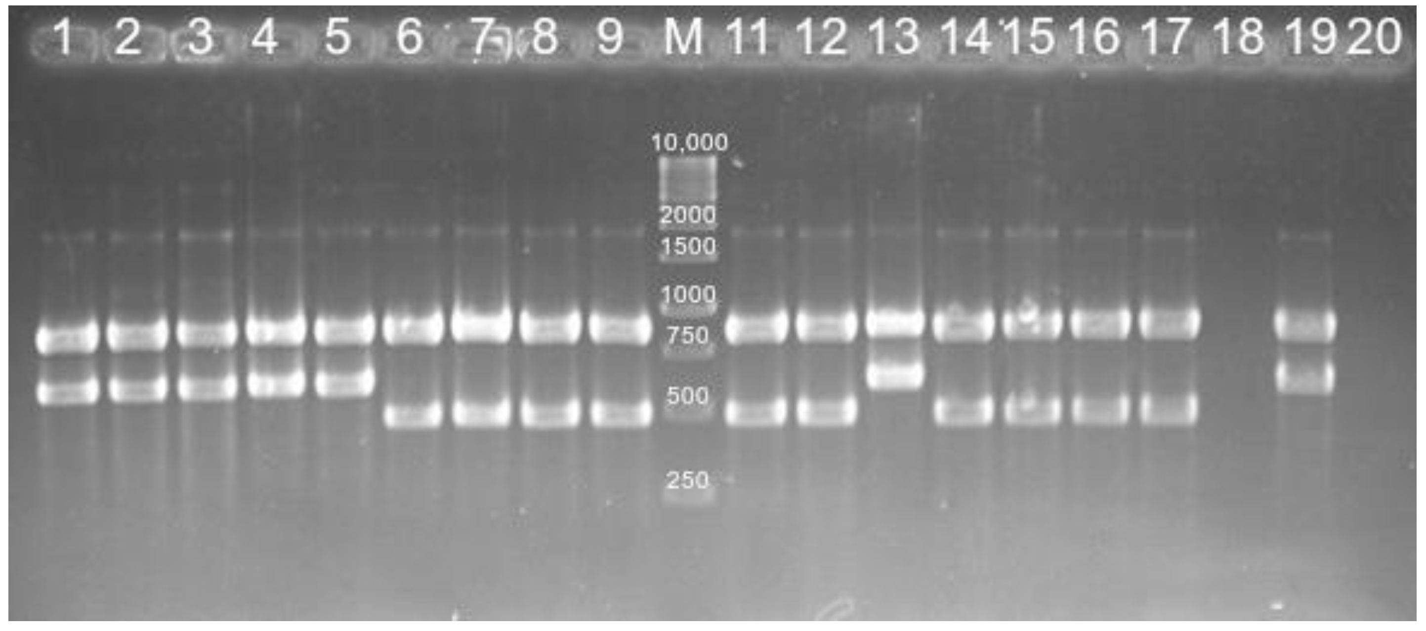 Animals 12 02978 g001 Animals 12 02978 g001