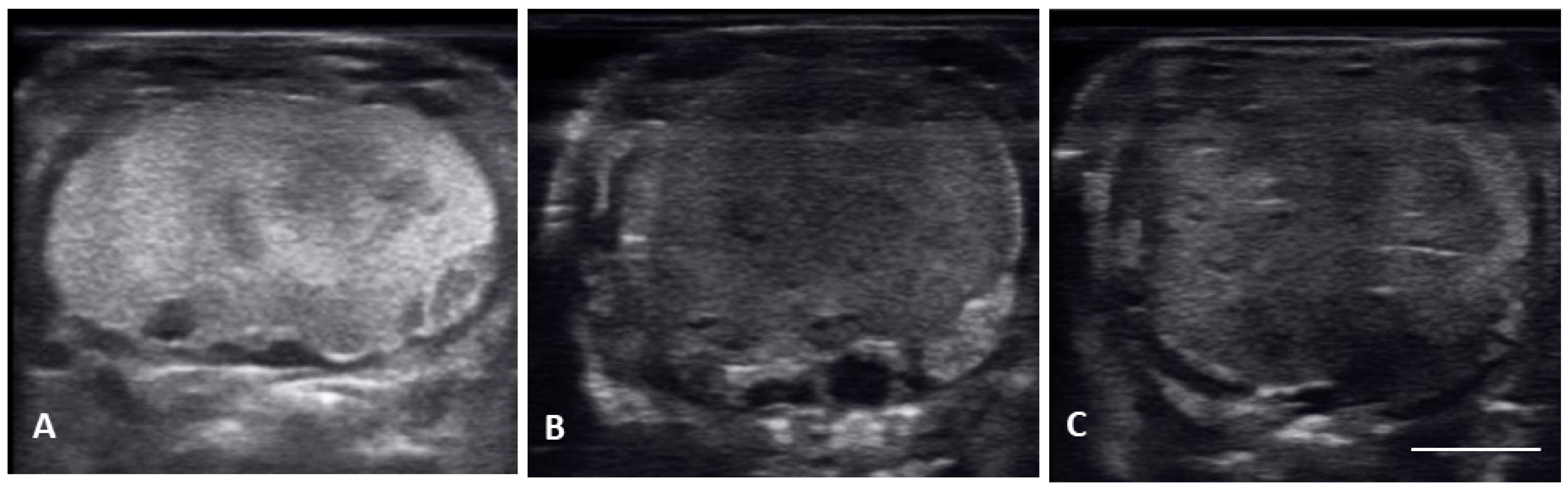 Animals 12 02983 g005