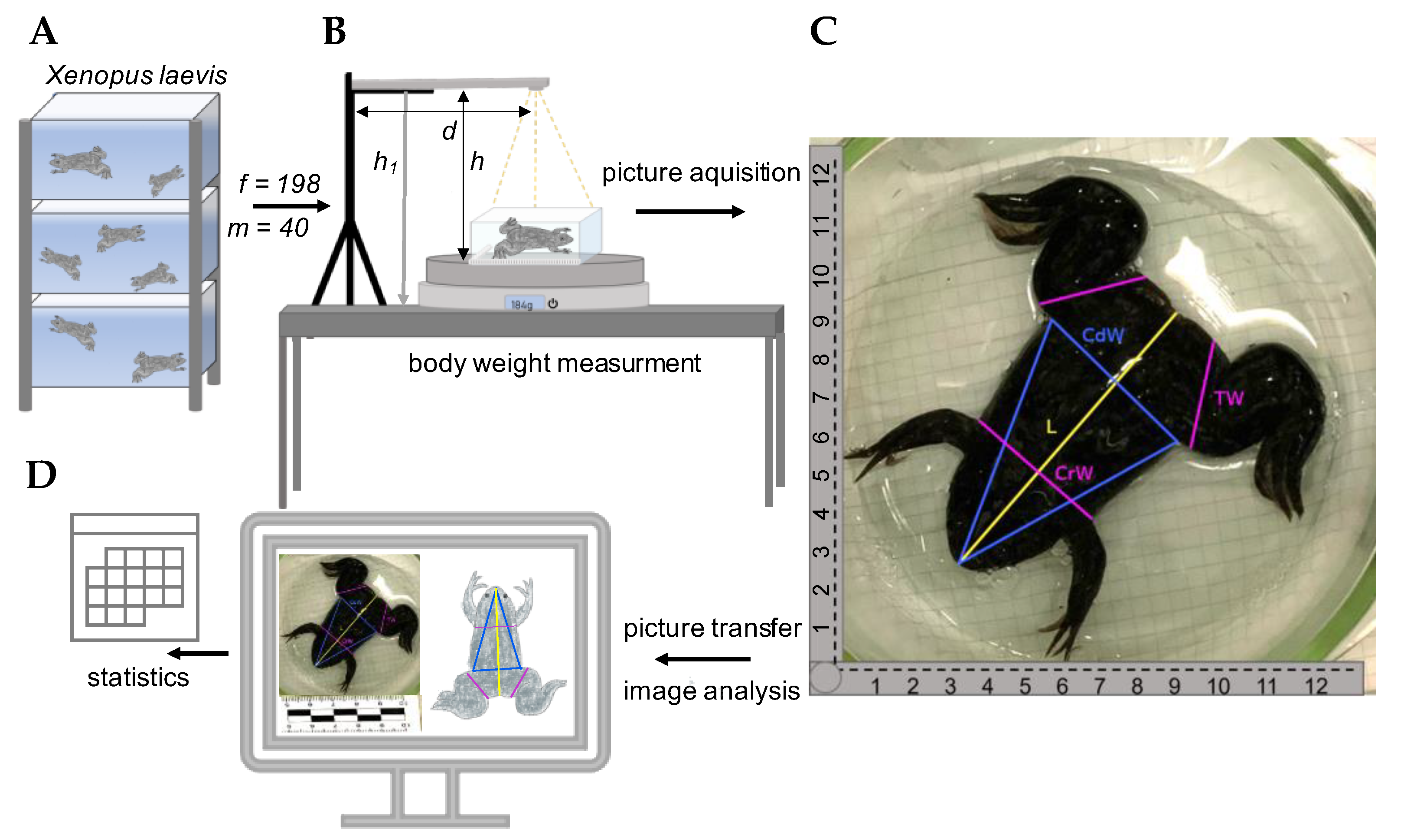 Animals 12 02986 g001 Animals 12 02986 g001