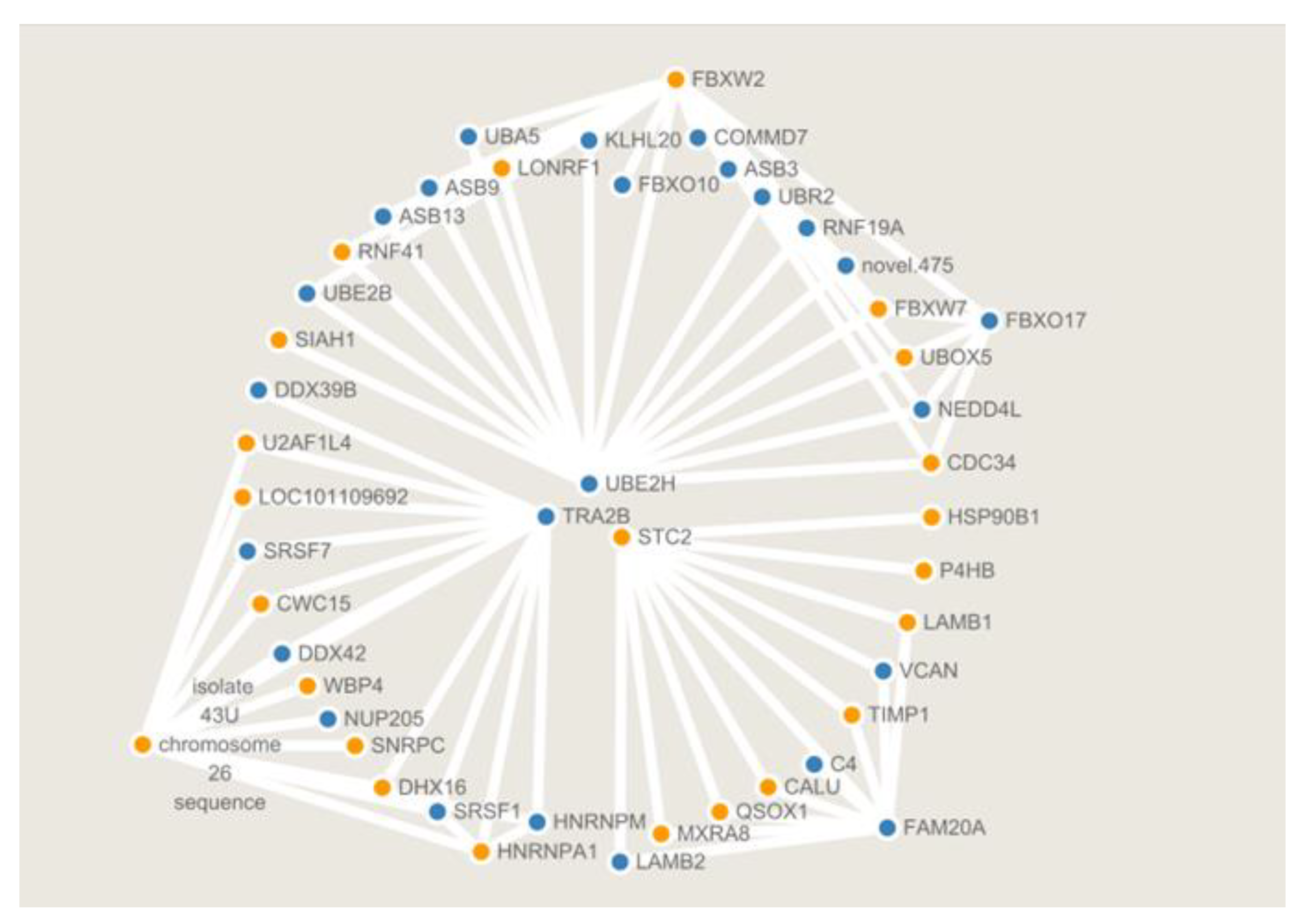 Animals 12 02989 g010 Animals 12 02989 g010