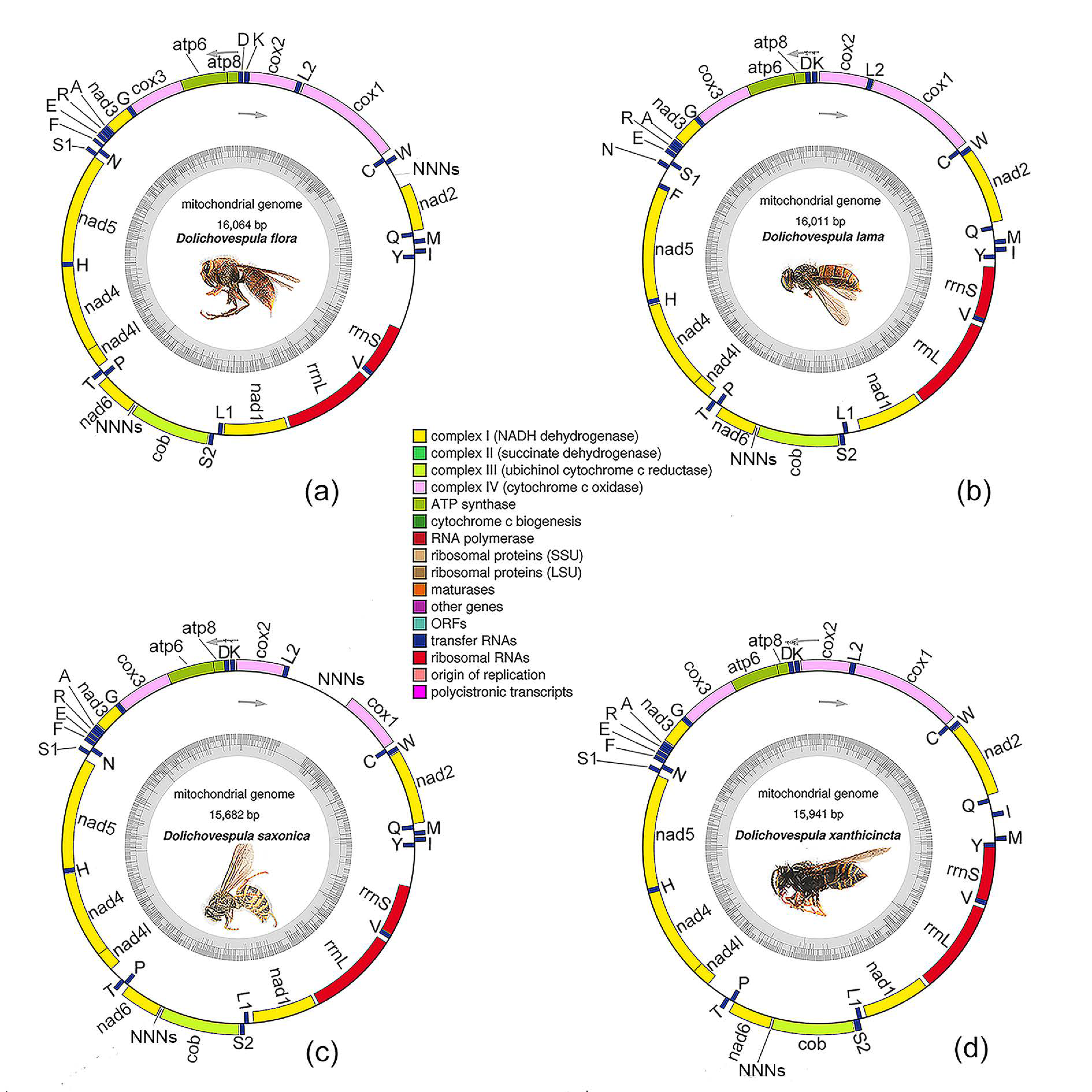 Animals 12 03004 g001 Animals 12 03004 g001