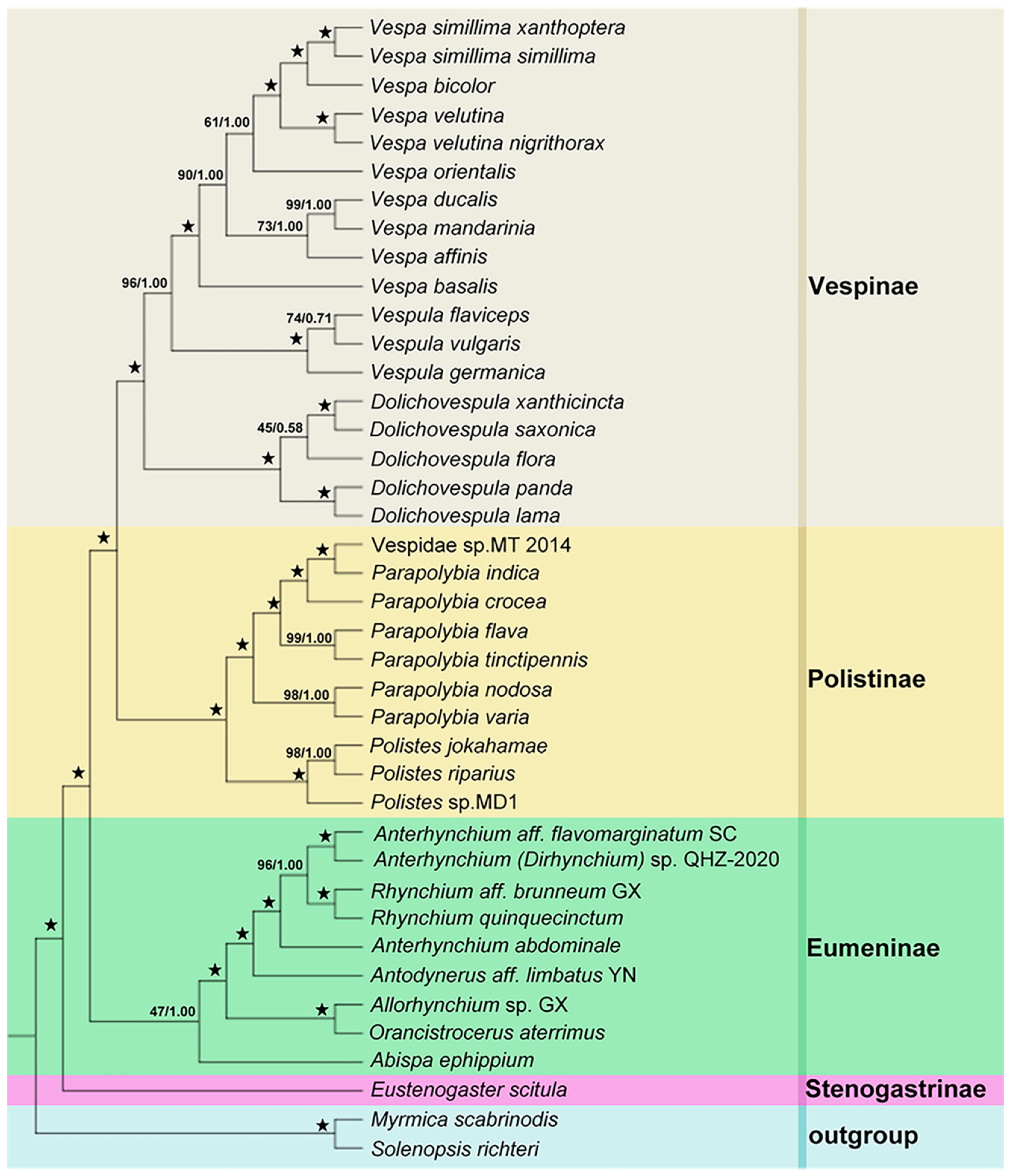Animals 12 03004 g004 Animals 12 03004 g004