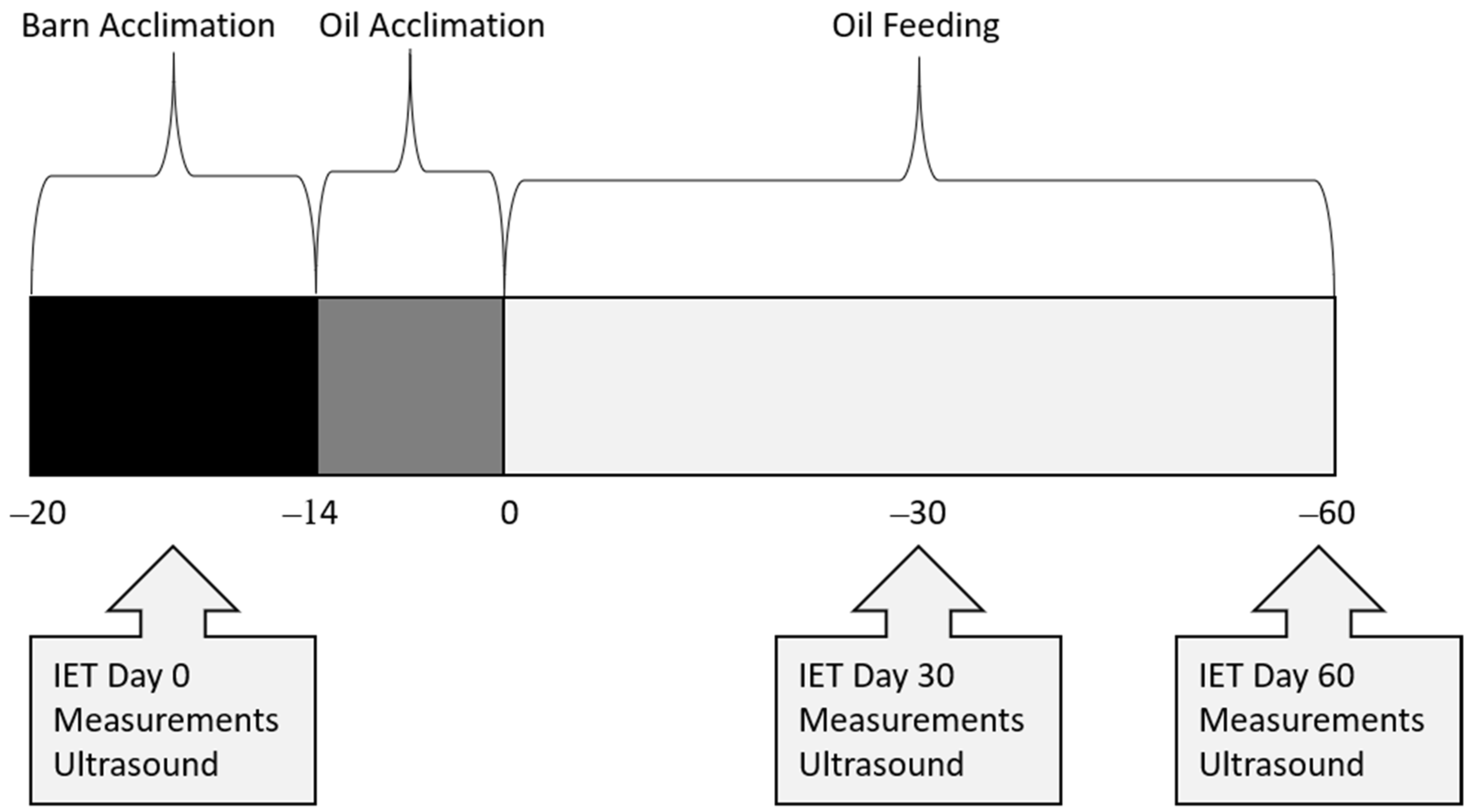 Animals 12 03006 g001