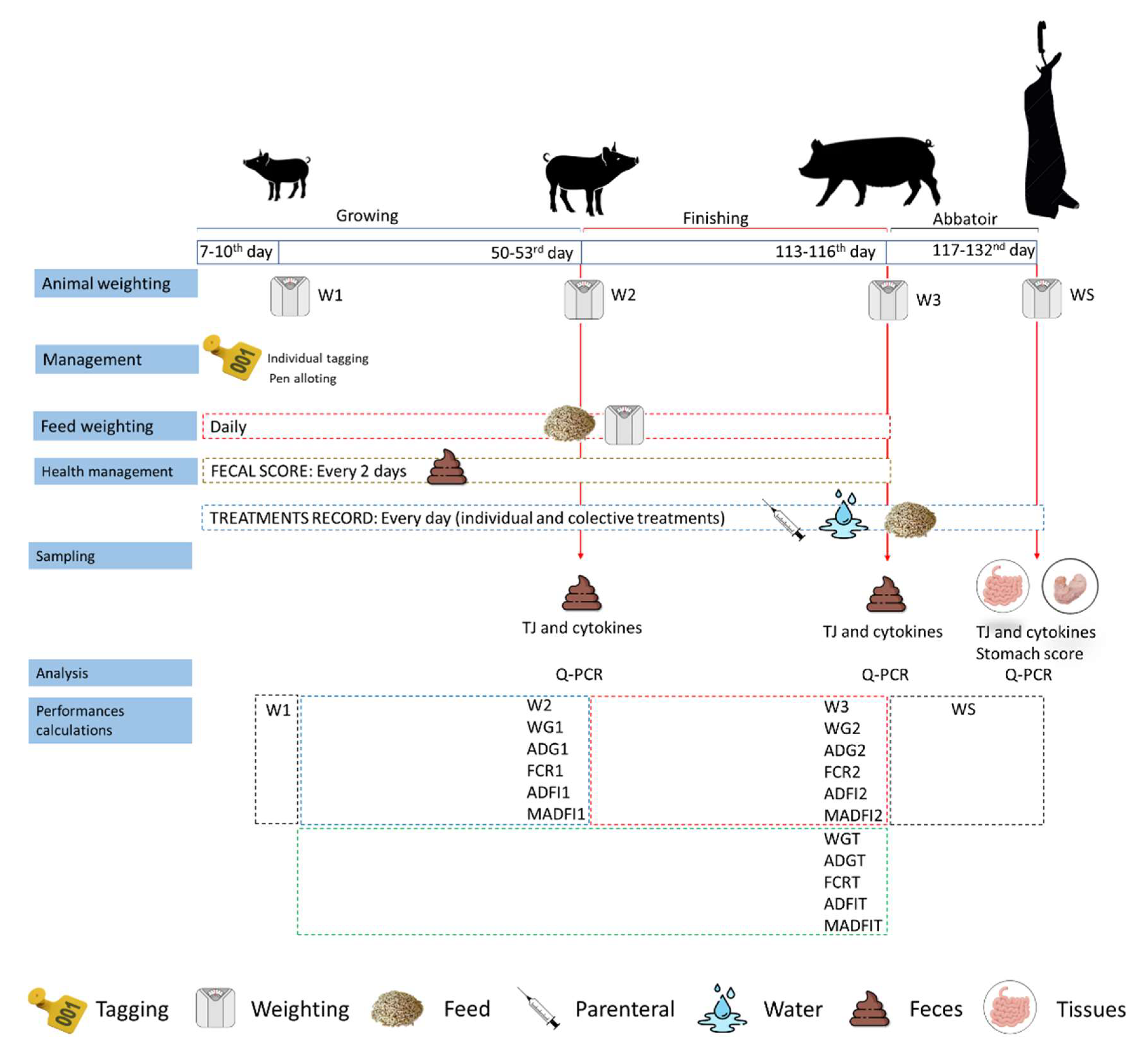 Animals 12 03012 g001