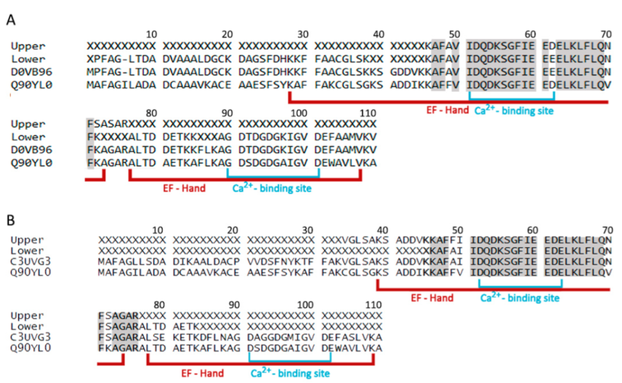 Animals 12 03022 g001 Animals 12 03022 g001