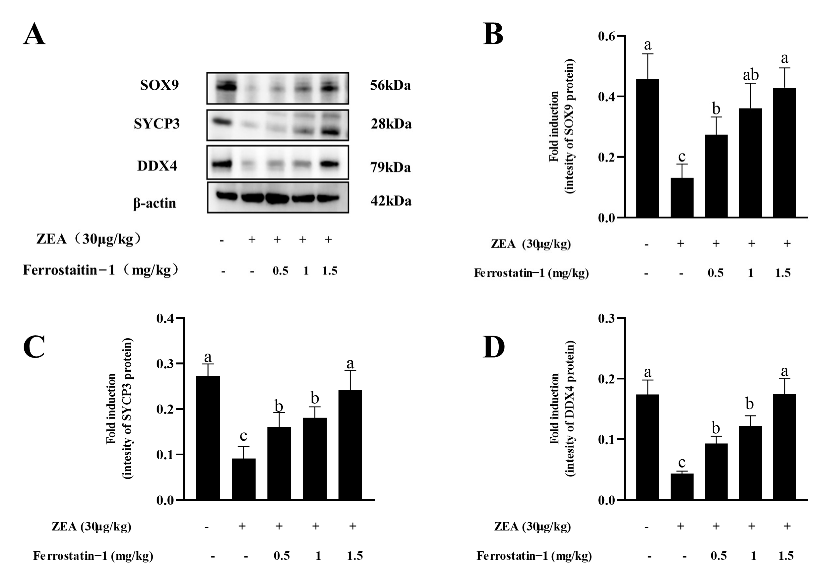 Animals 12 03026 g003