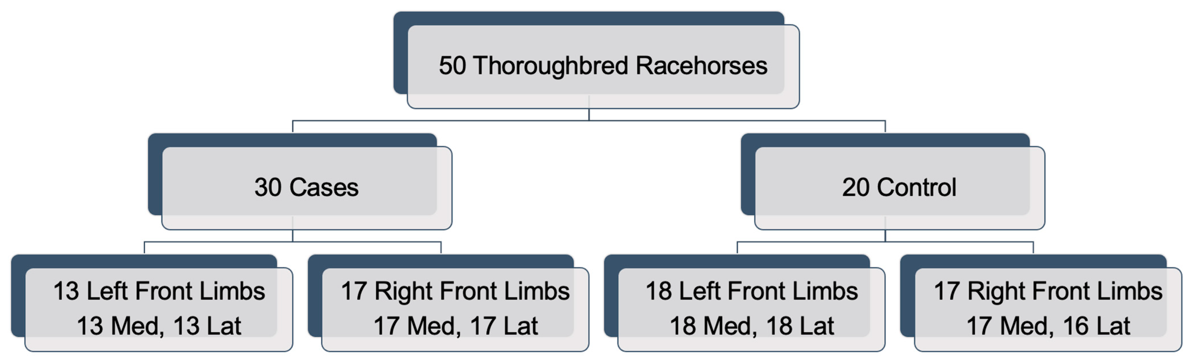 Animals 12 03033 g001 Animals 12 03033 g001