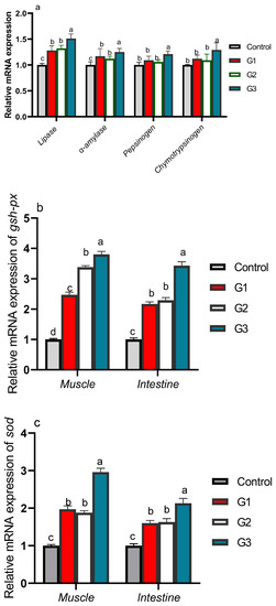 Exploring the Interactive Effects of Thymol and Thymoquinone: Moving ...