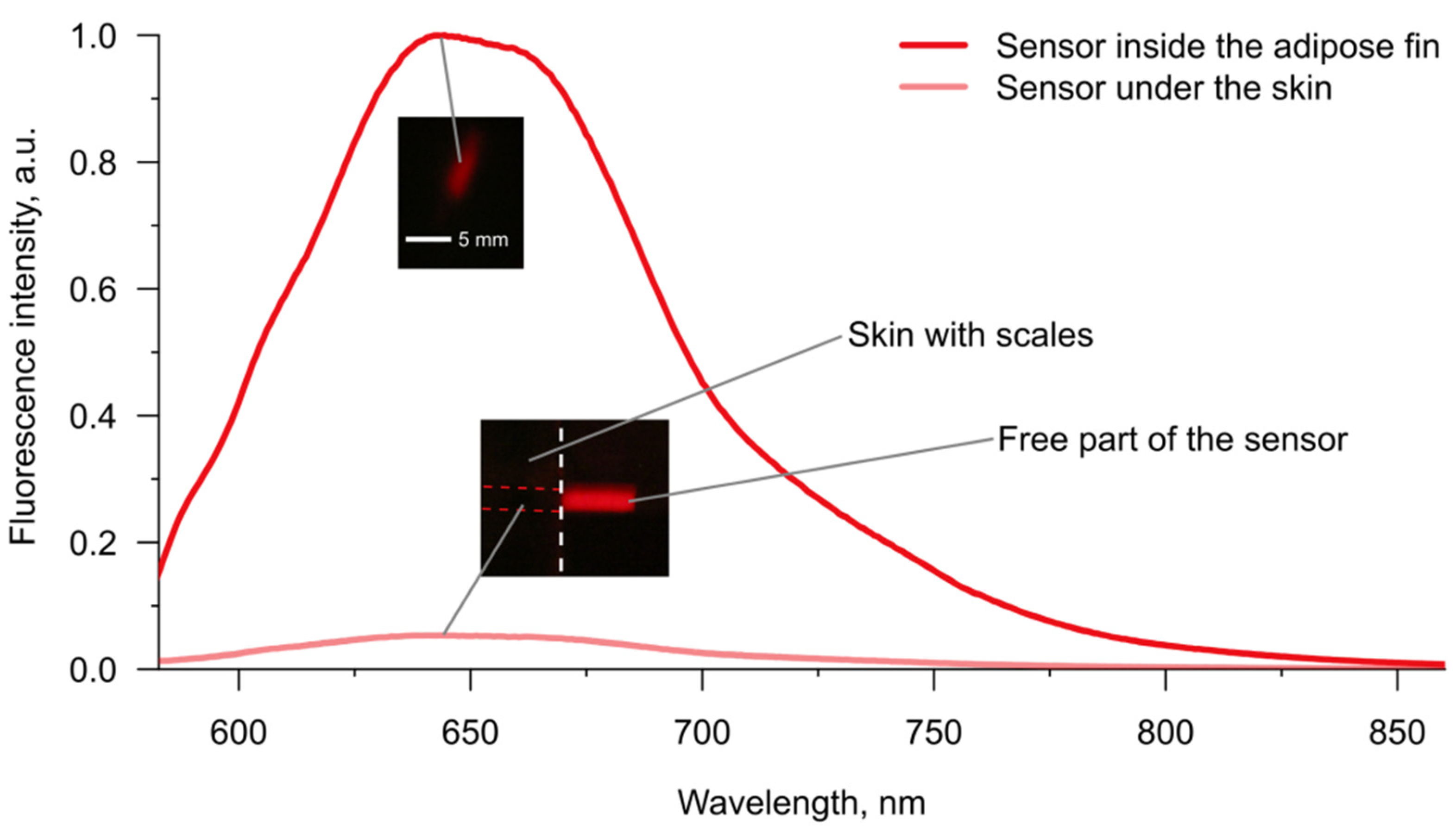 Animals 12 03042 g004