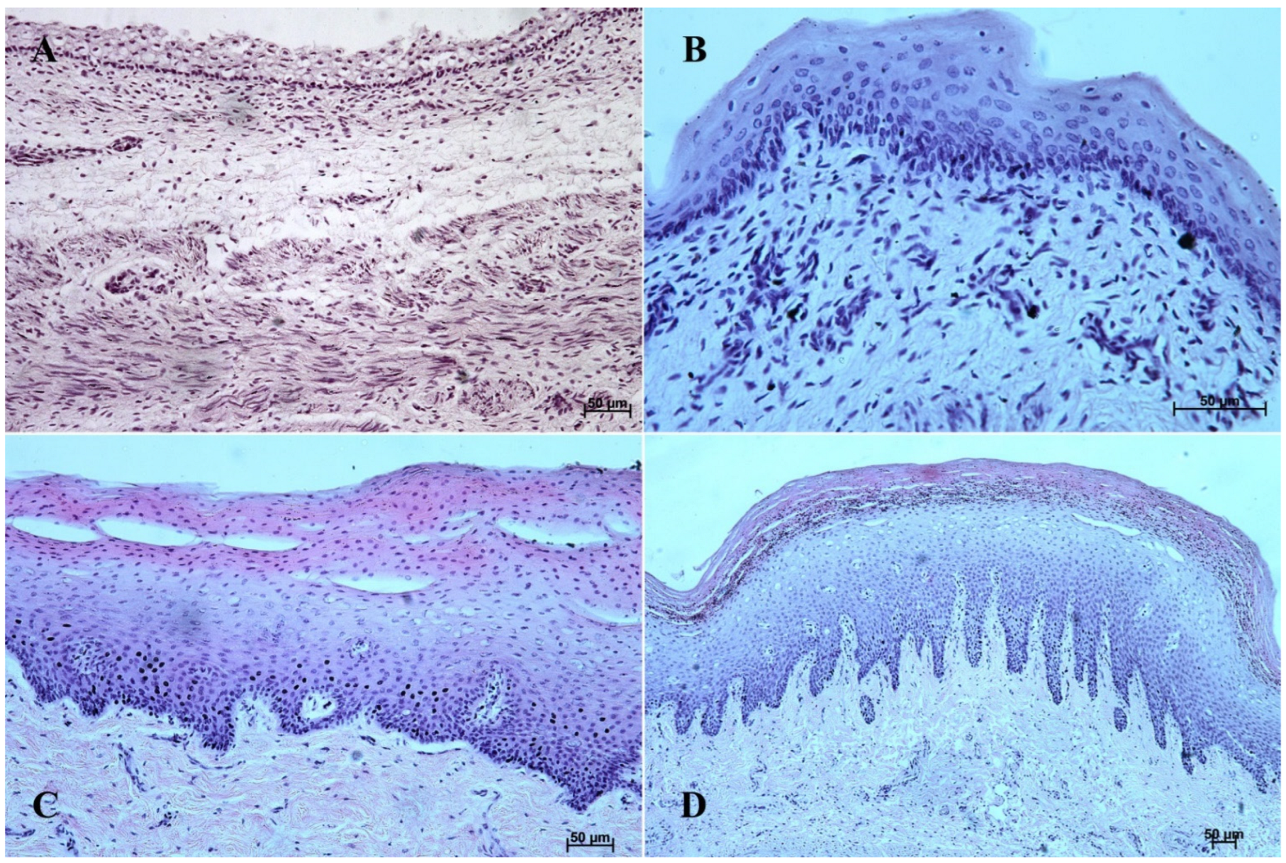 Animals 12 03047 g002 Animals 12 03047 g002