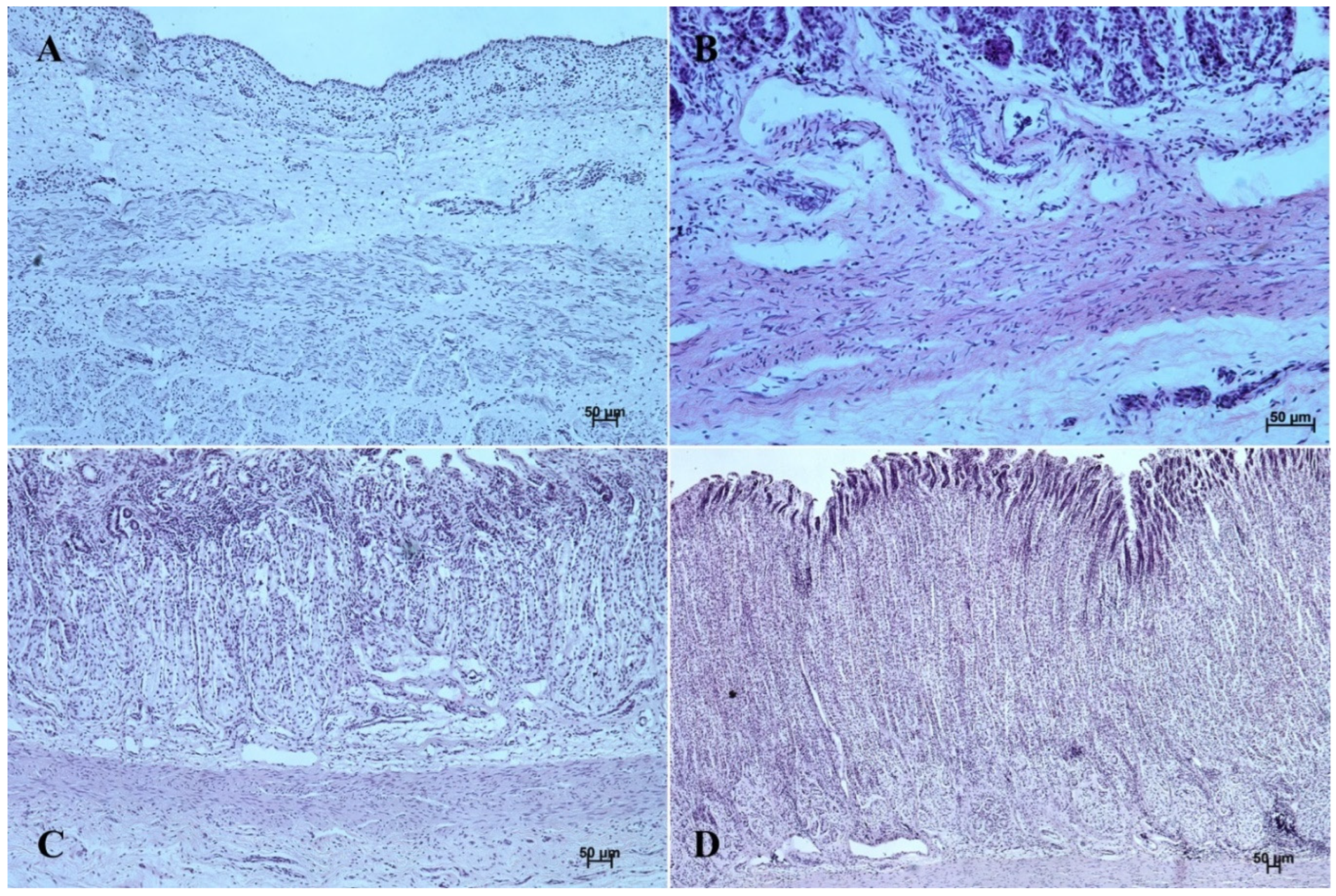 Animals 12 03047 g008 Animals 12 03047 g008