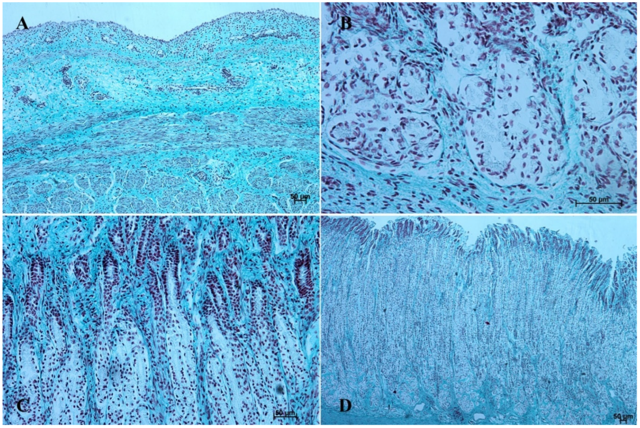 Animals 12 03047 g009 Animals 12 03047 g009